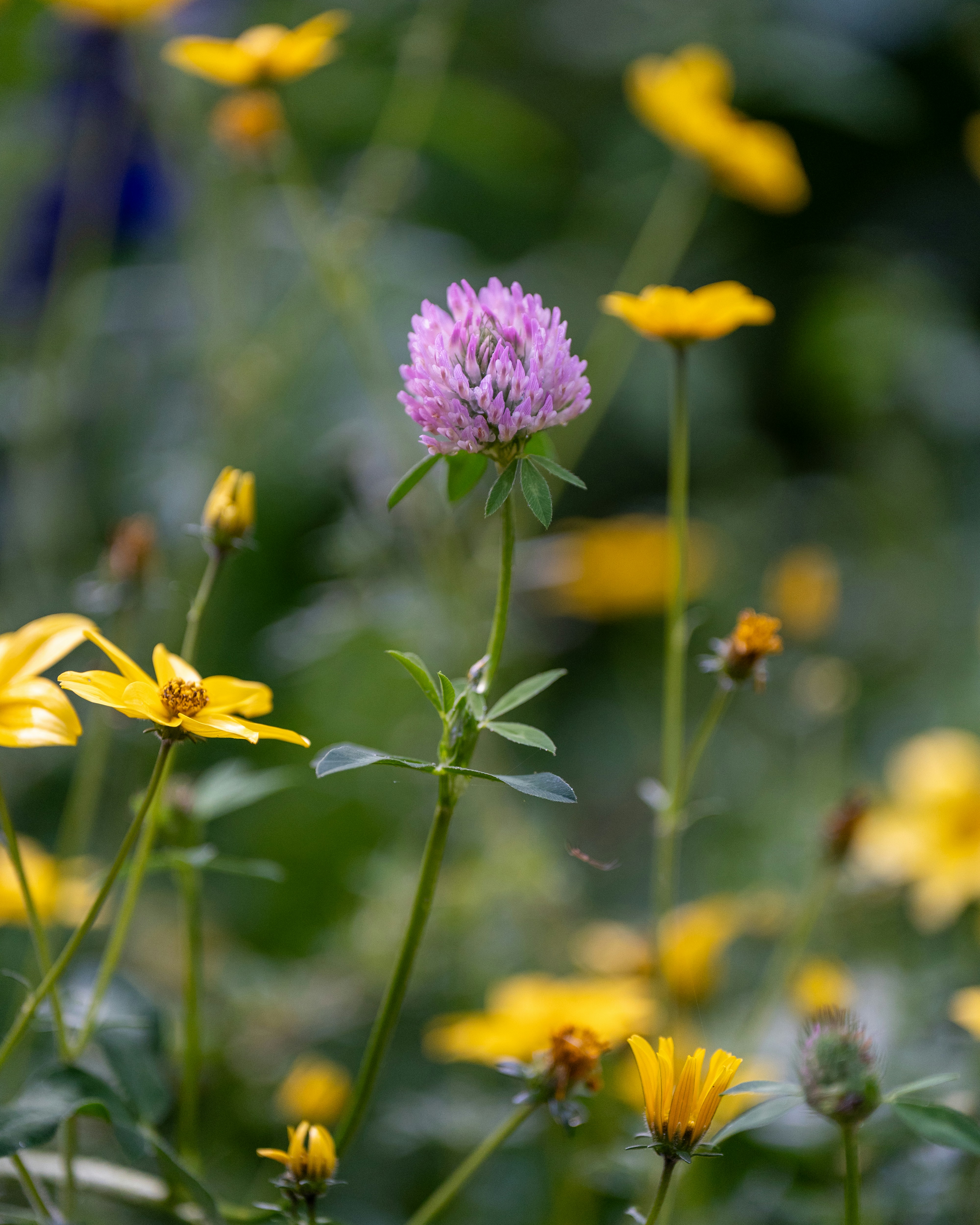 Photo by bangscreative