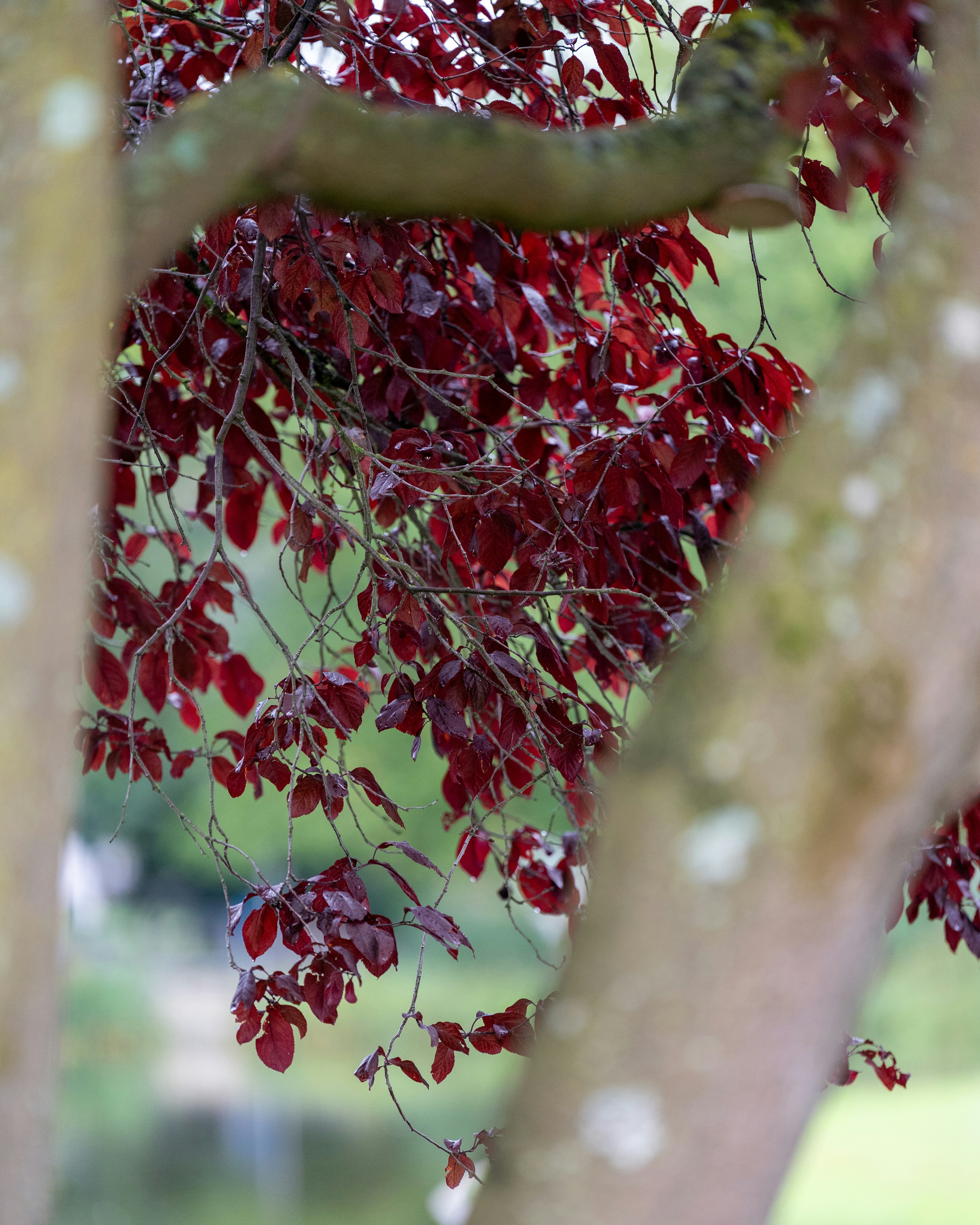 Photo by bangscreative