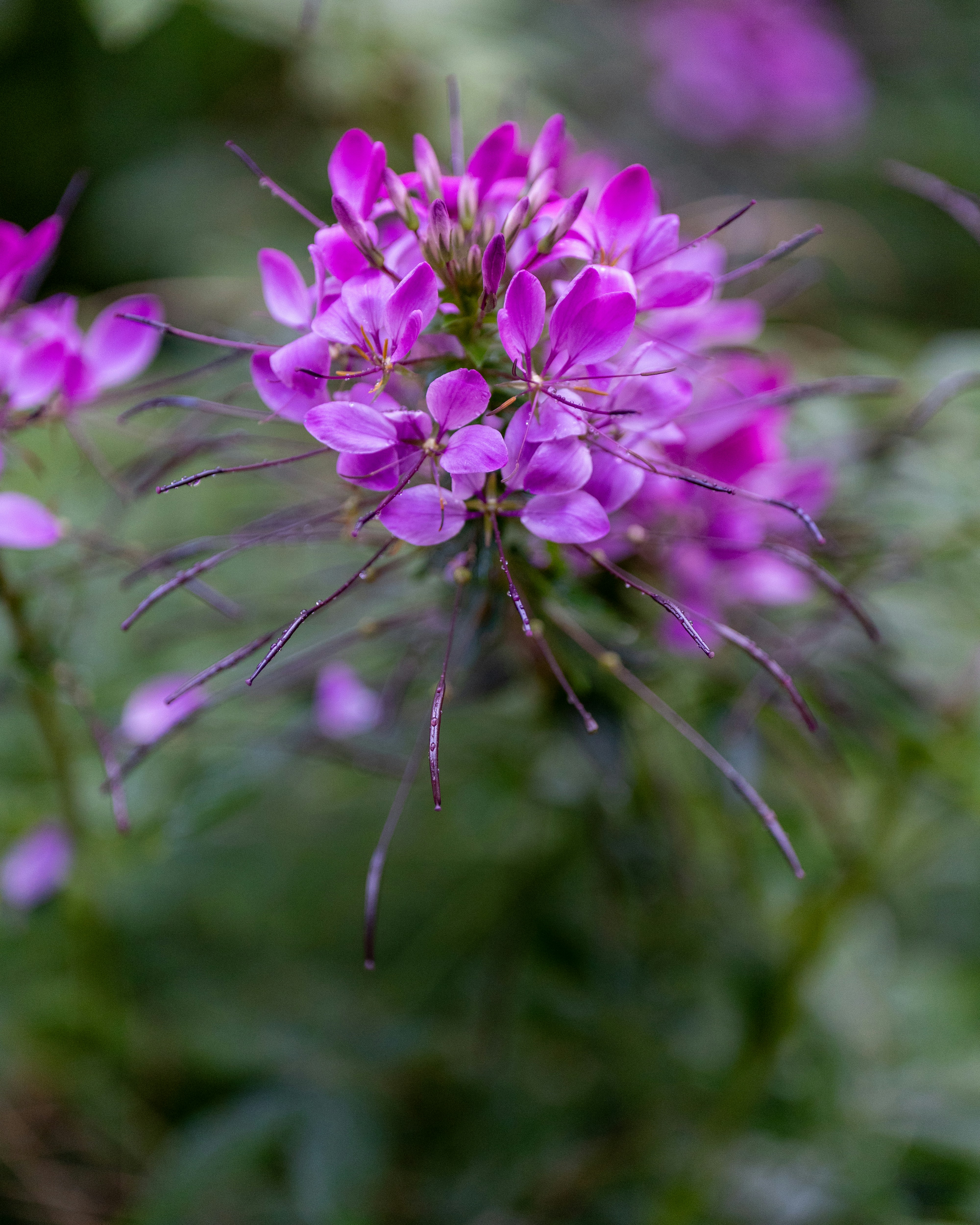 Photo by bangscreative