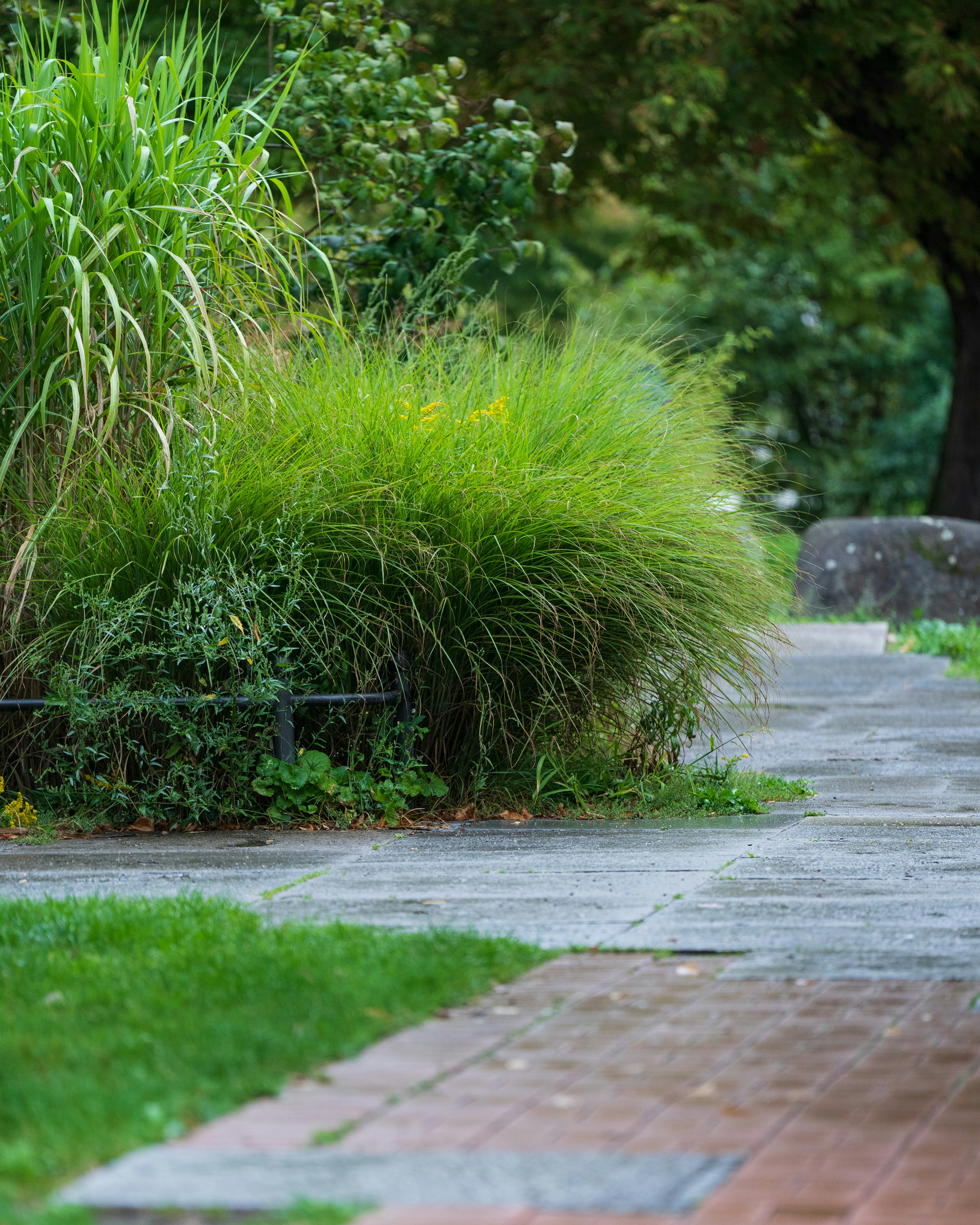 Photo by bangscreative