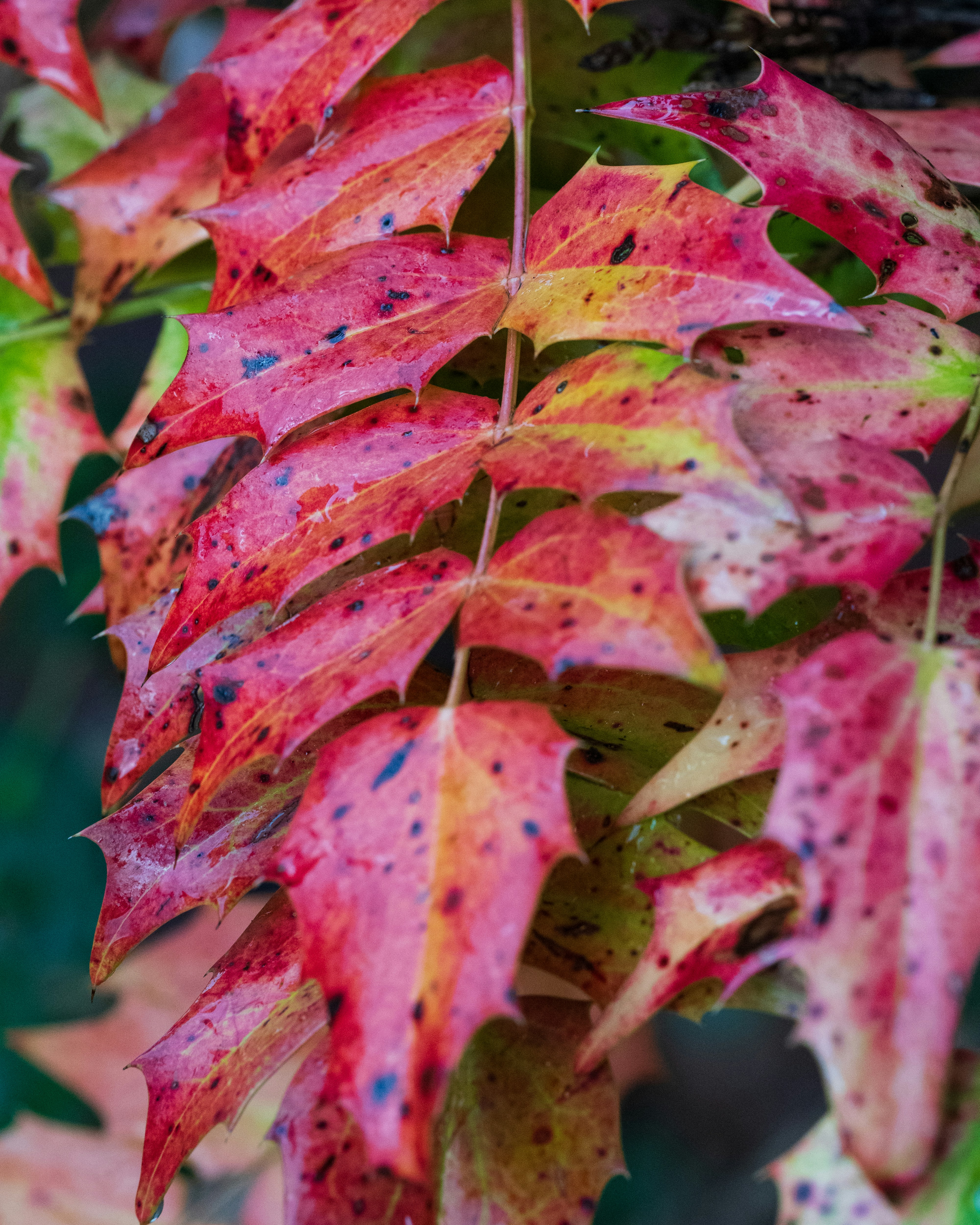 Photo by bangscreative