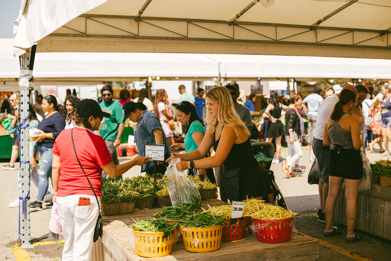 A First Timer's Guide to Shopping a DFW Farmers Market