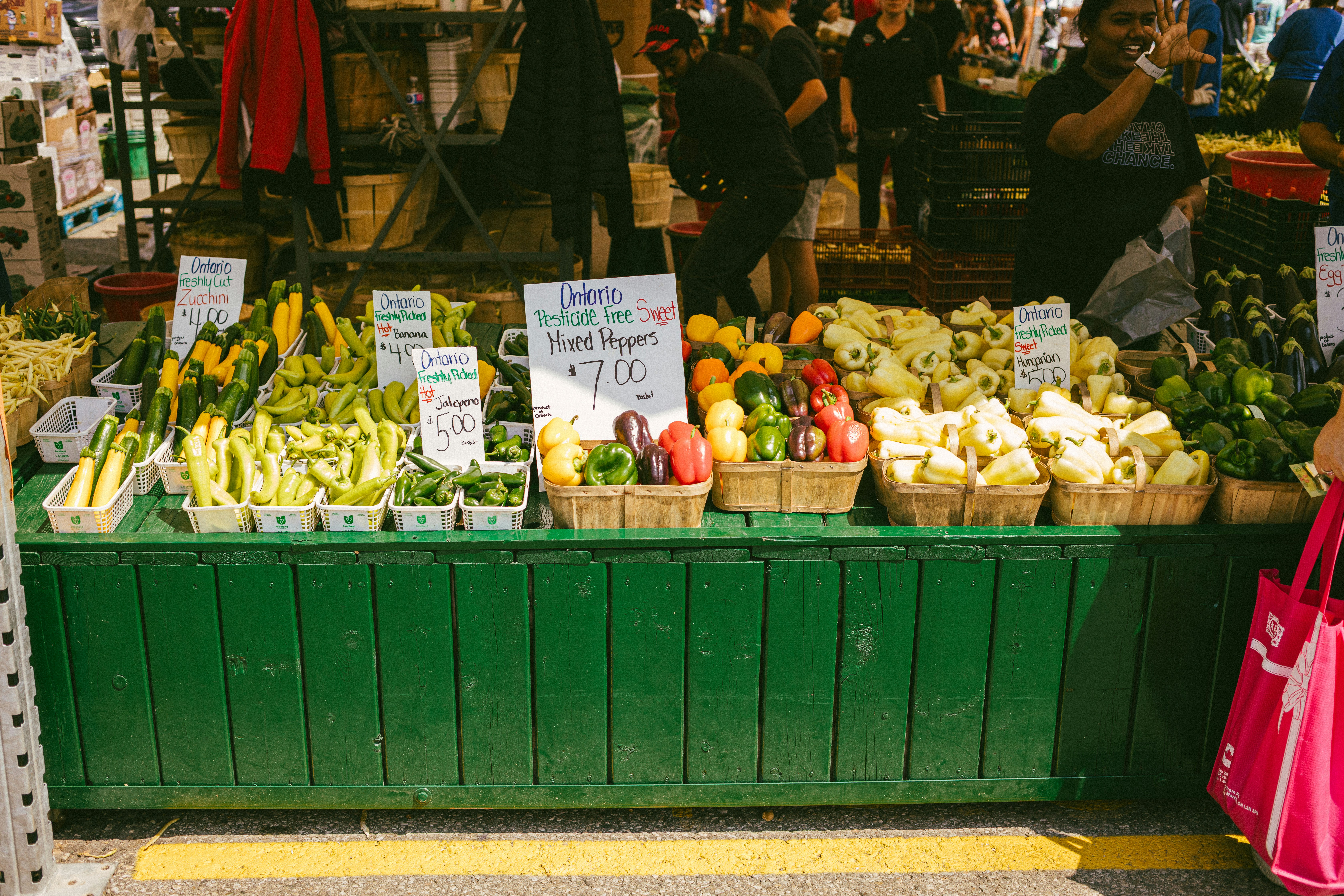 Between the IMF’s Hammer and the EU’s Green Wall
