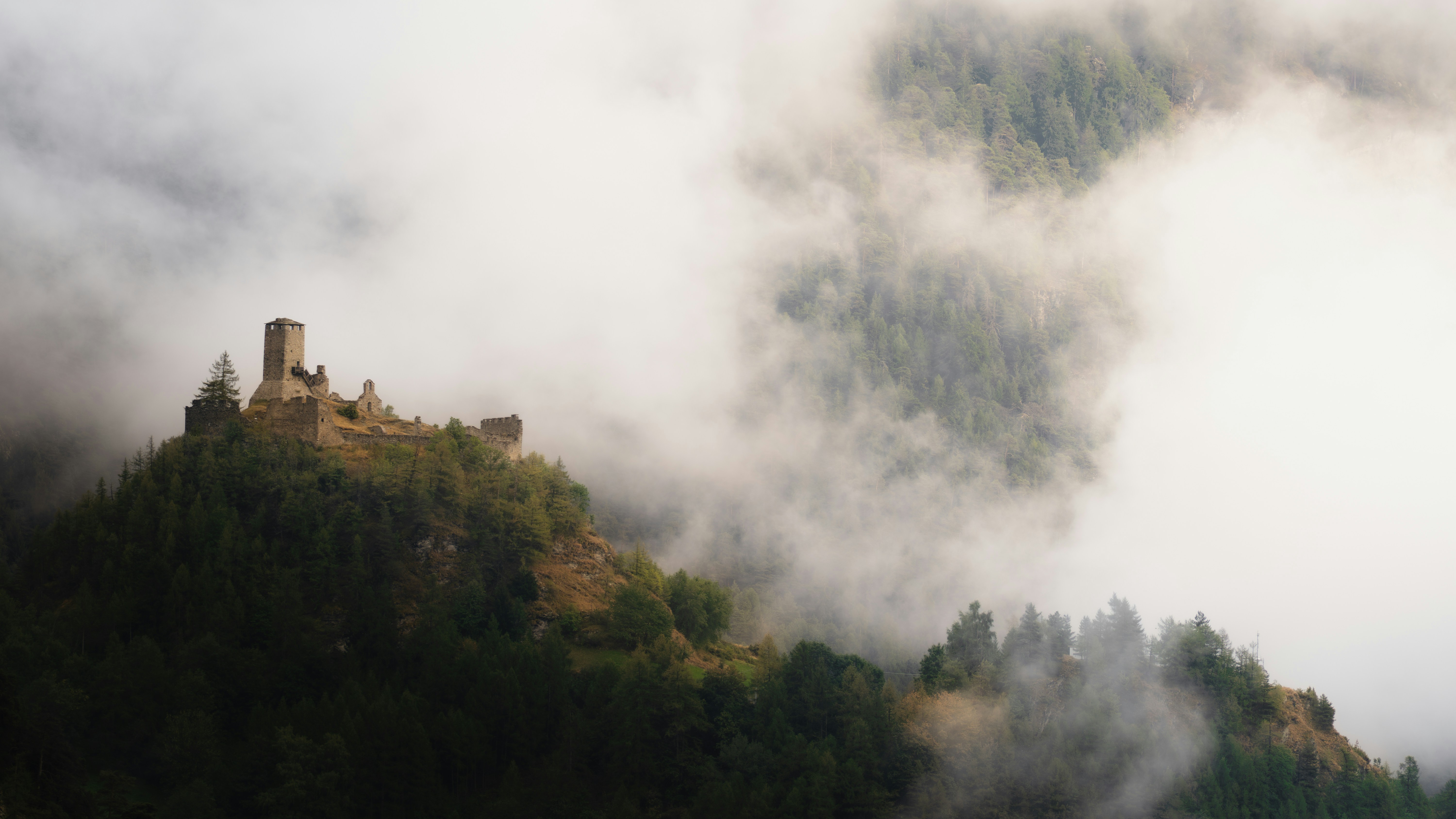 What To Expect From A Specialist Junk Removal Service: A Step-By-Step Introduction