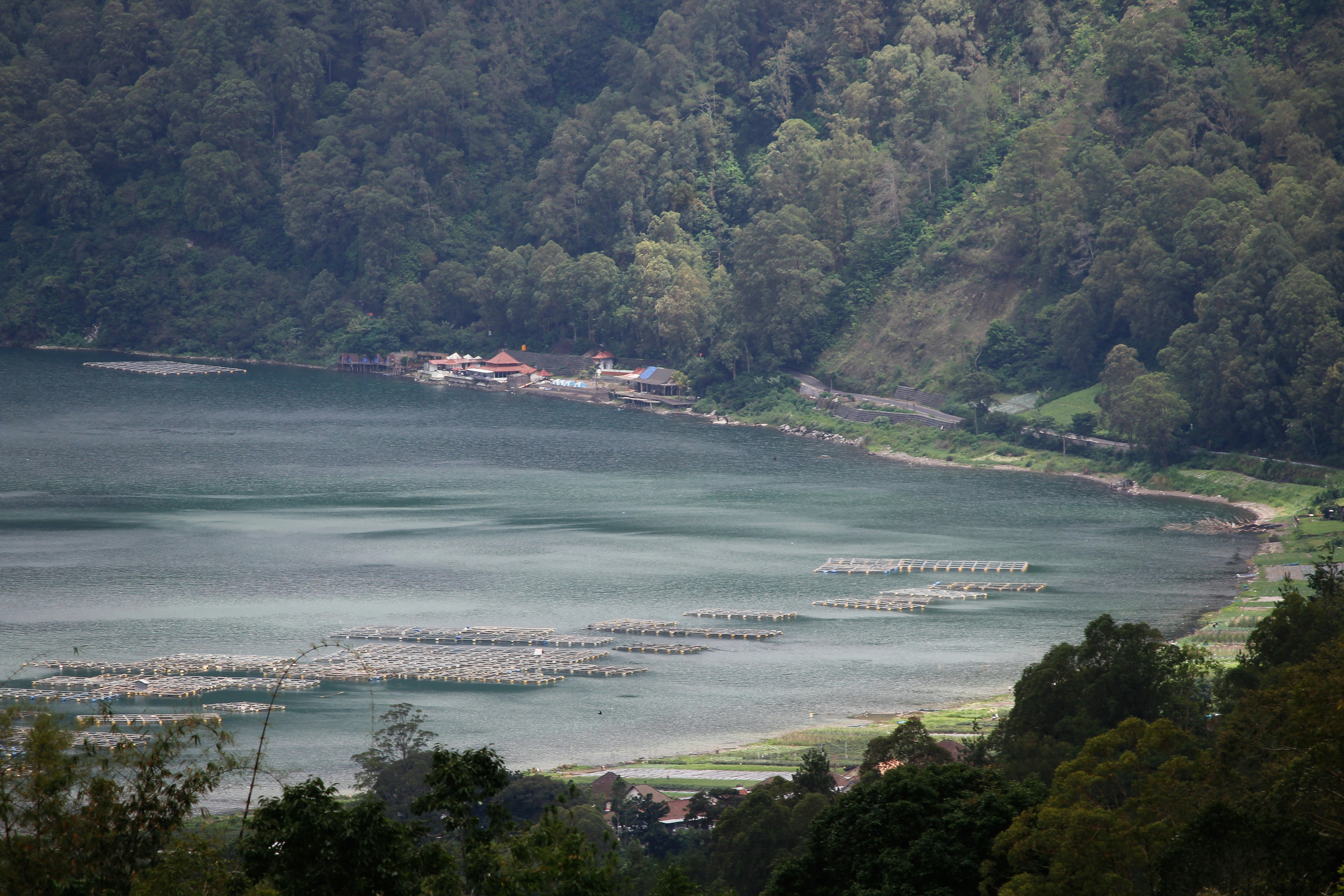Calm lake surrounded by lush green forest and mountains.