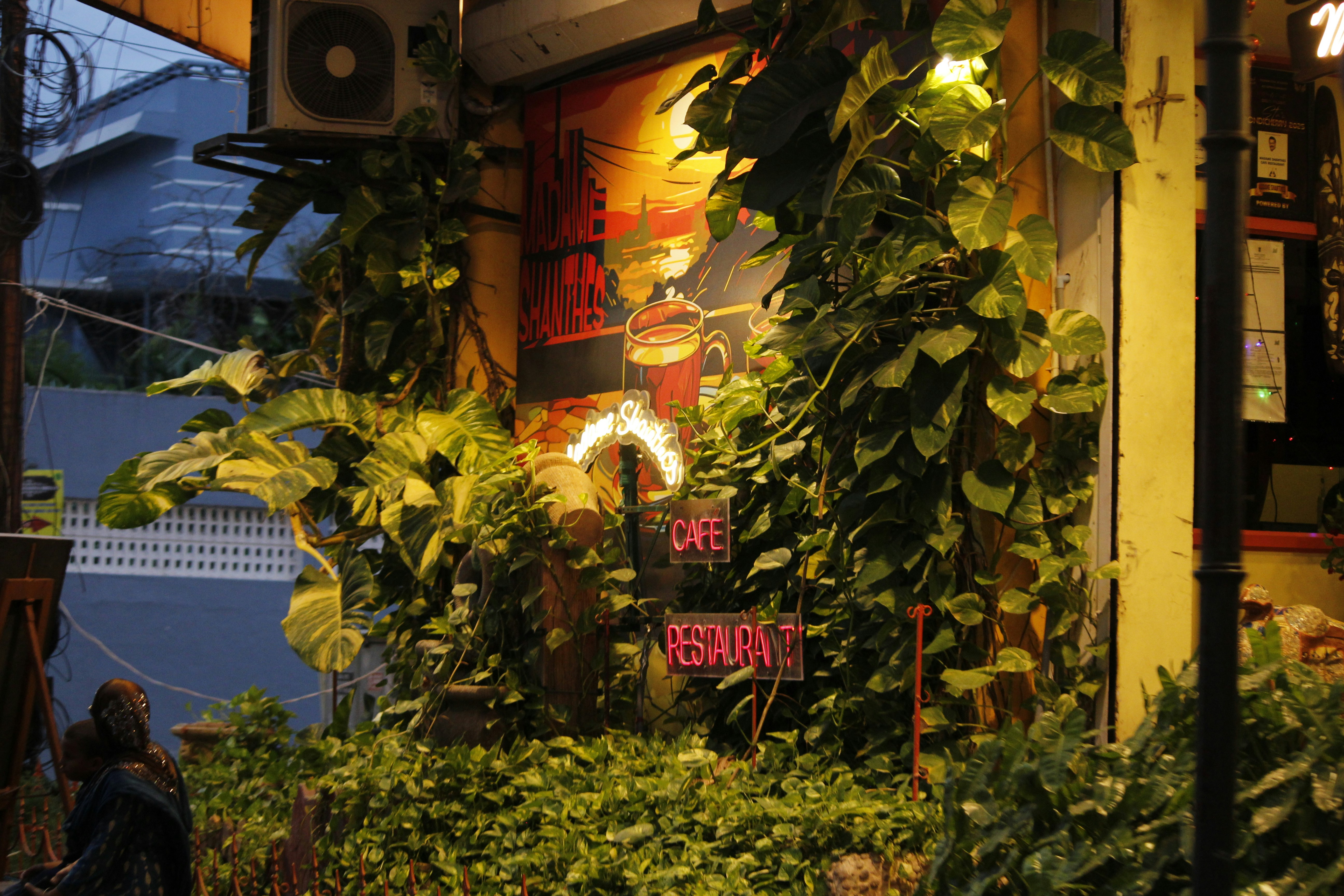Cafe and restaurant entrance with lush greenery