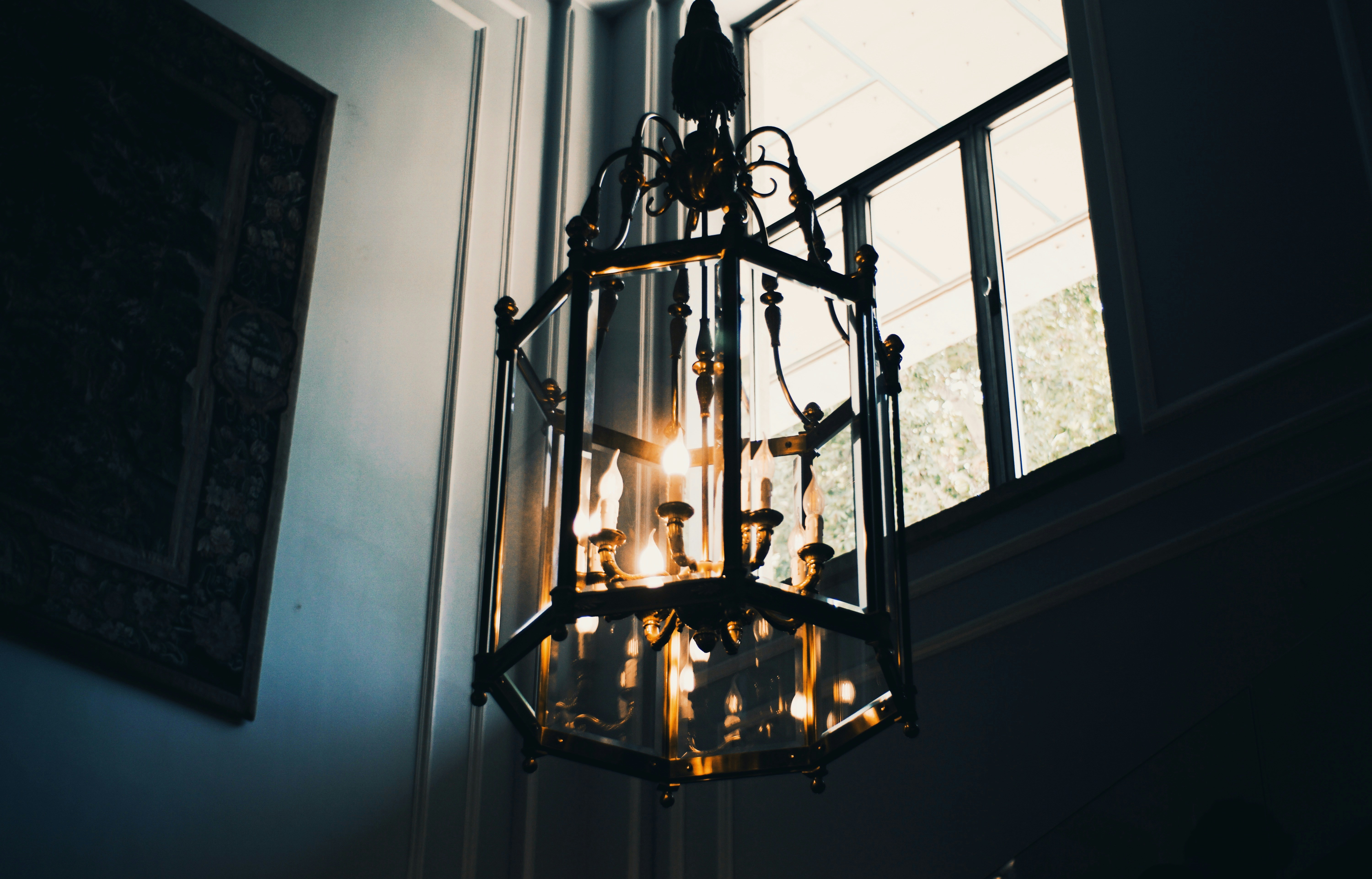 Photo by mdrezajalali