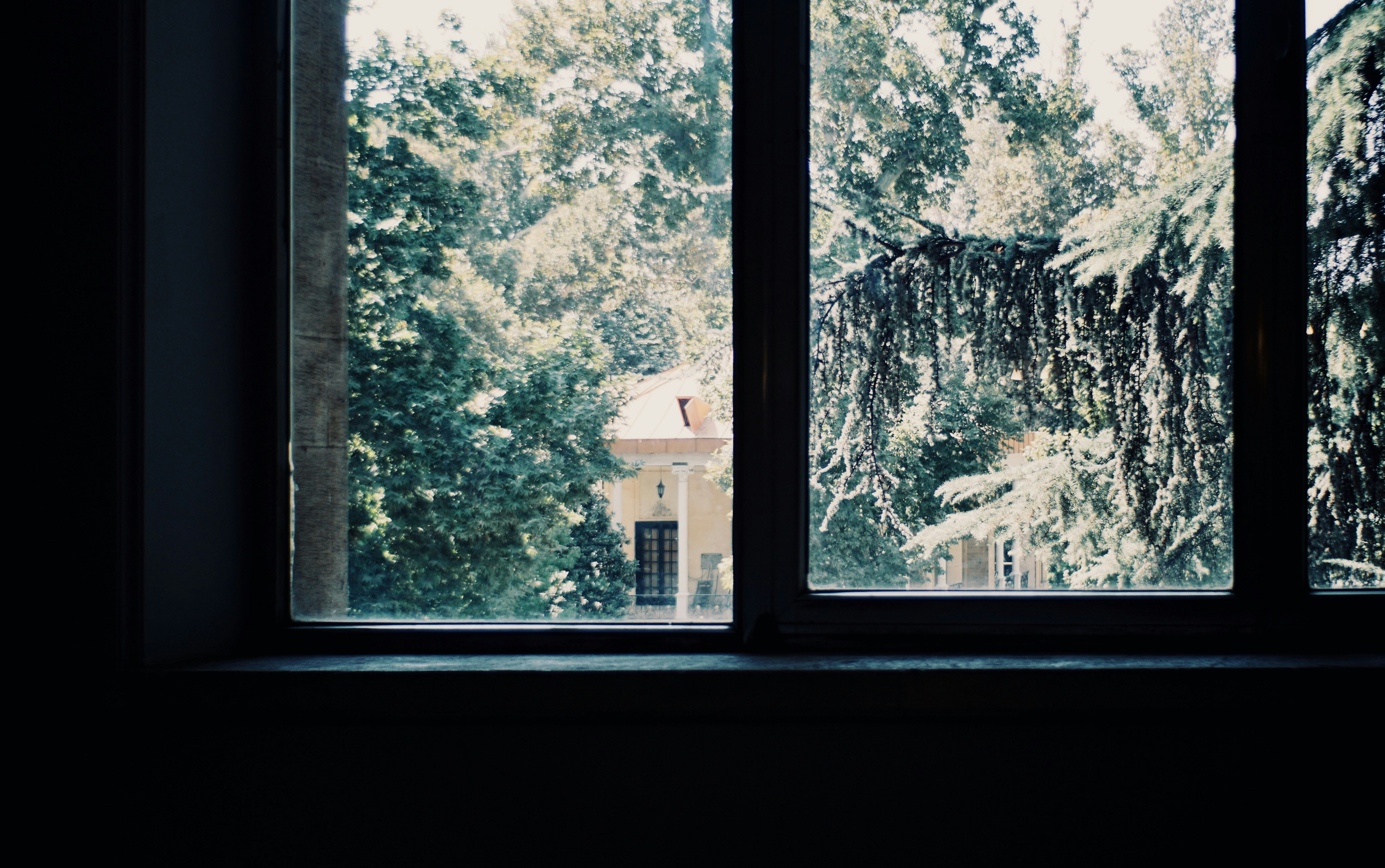 Photo by mdrezajalali