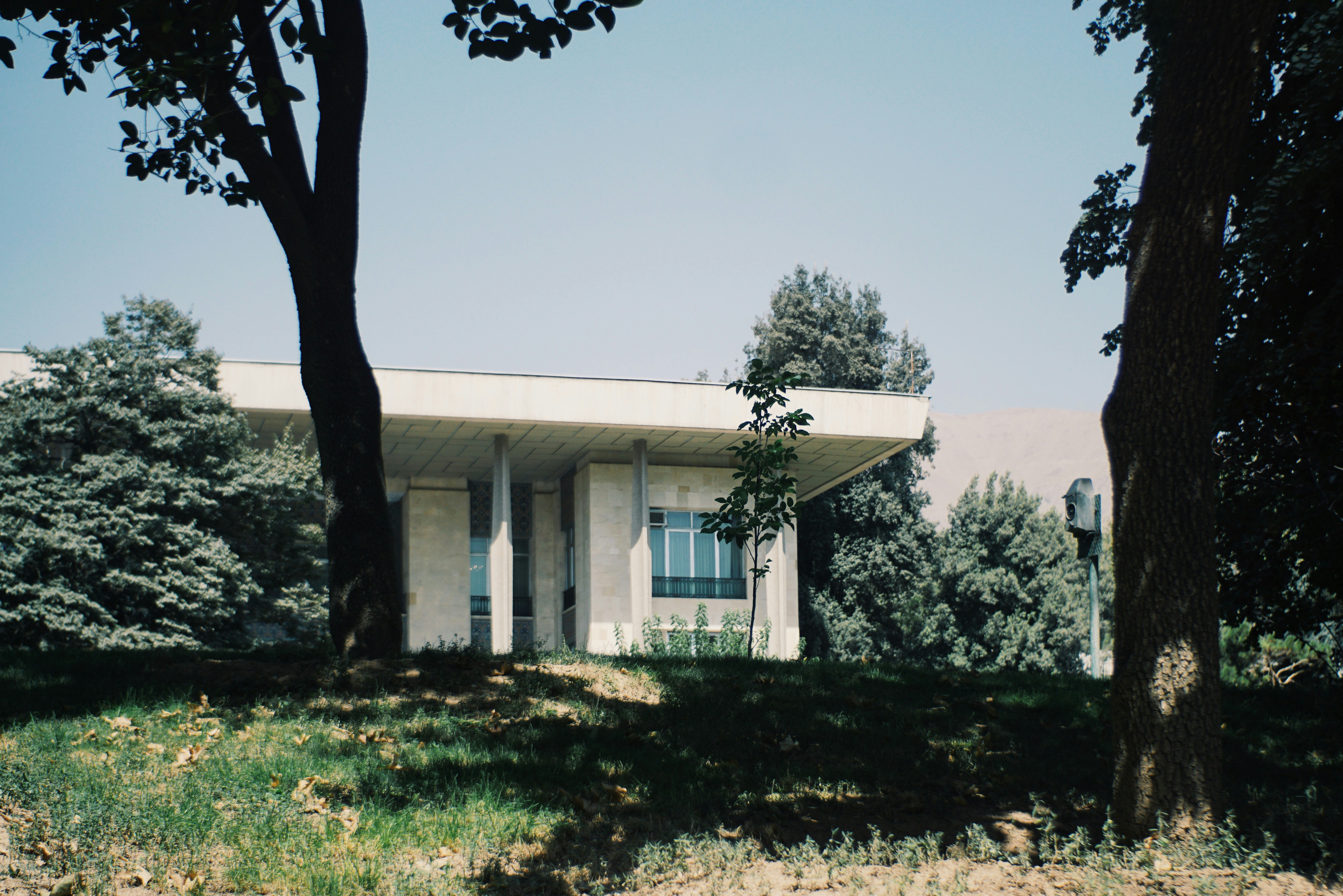 Photo by mdrezajalali