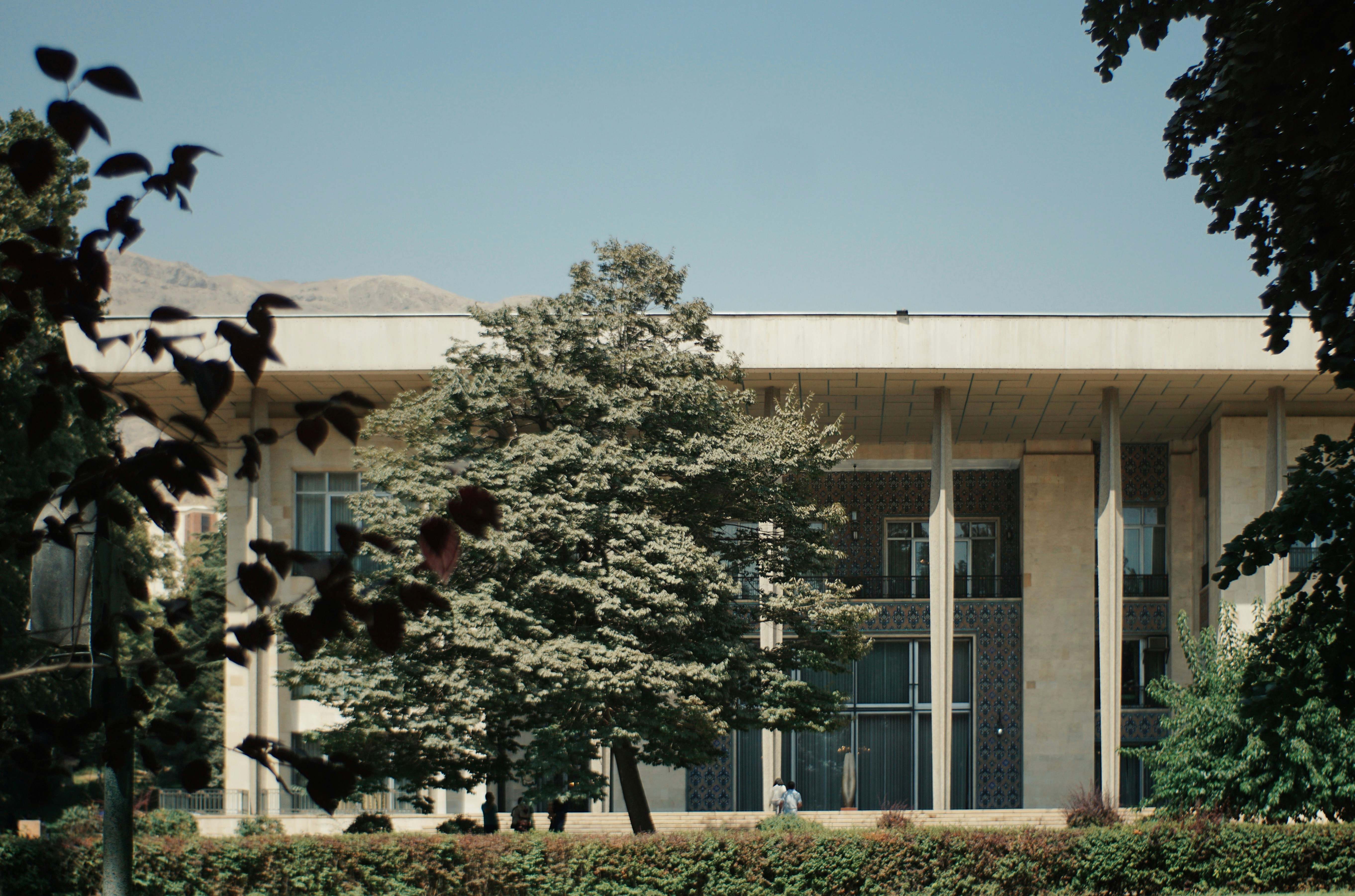 Photo by mdrezajalali