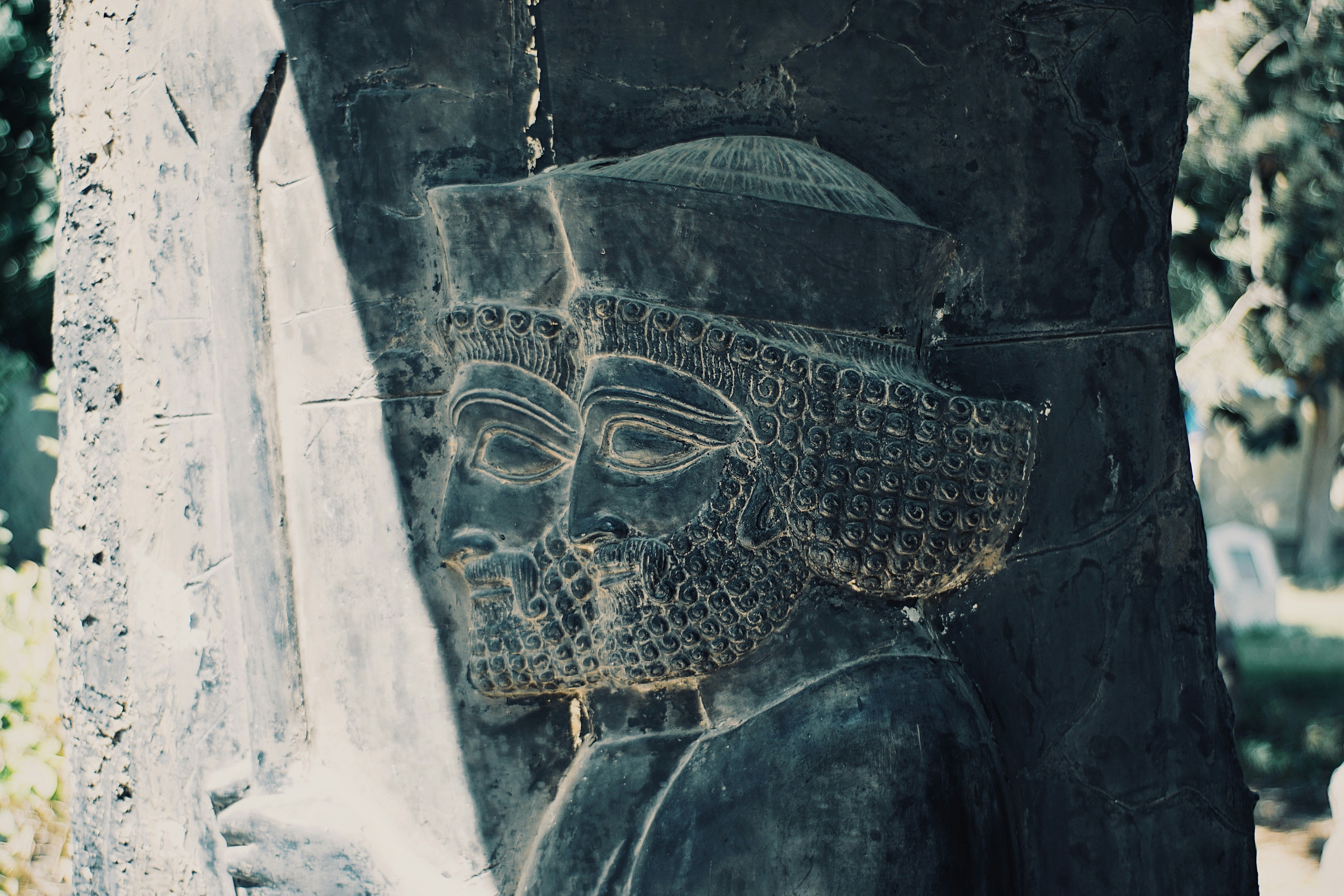 Photo by mdrezajalali