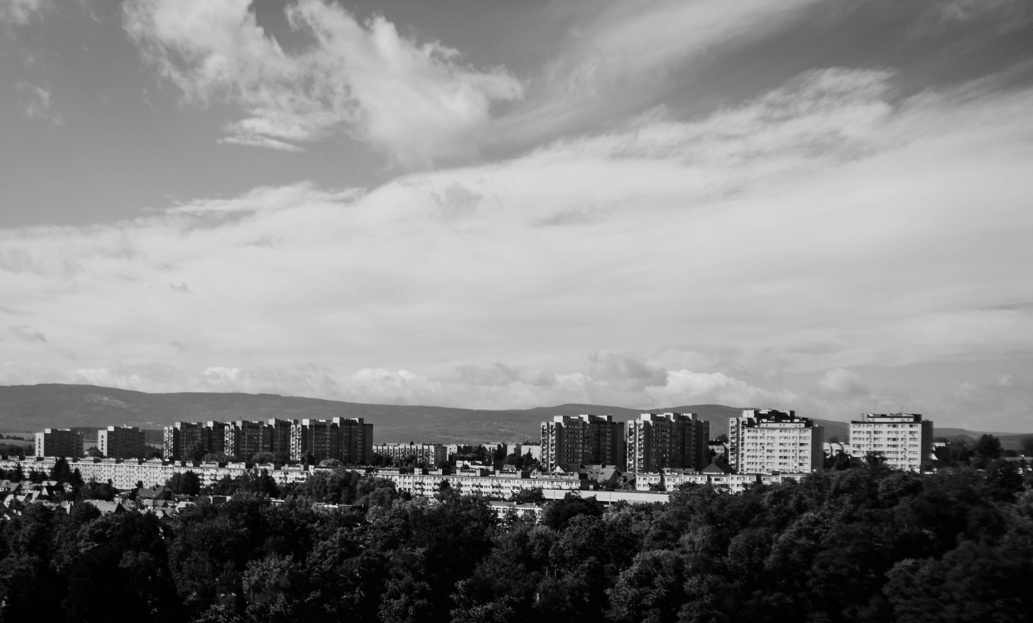 Image by Helen Browne via Unsplash