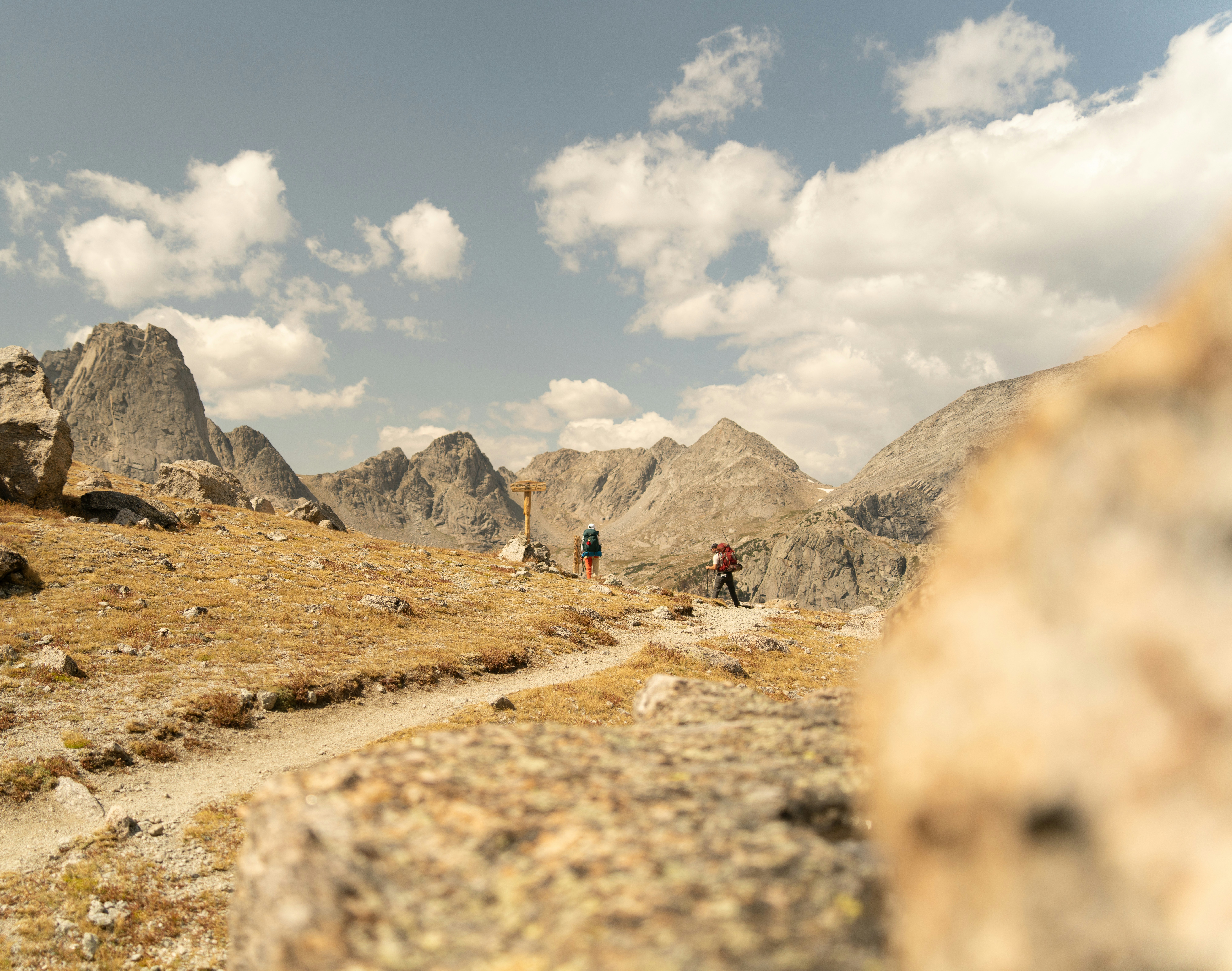 Photo by alexmoliski