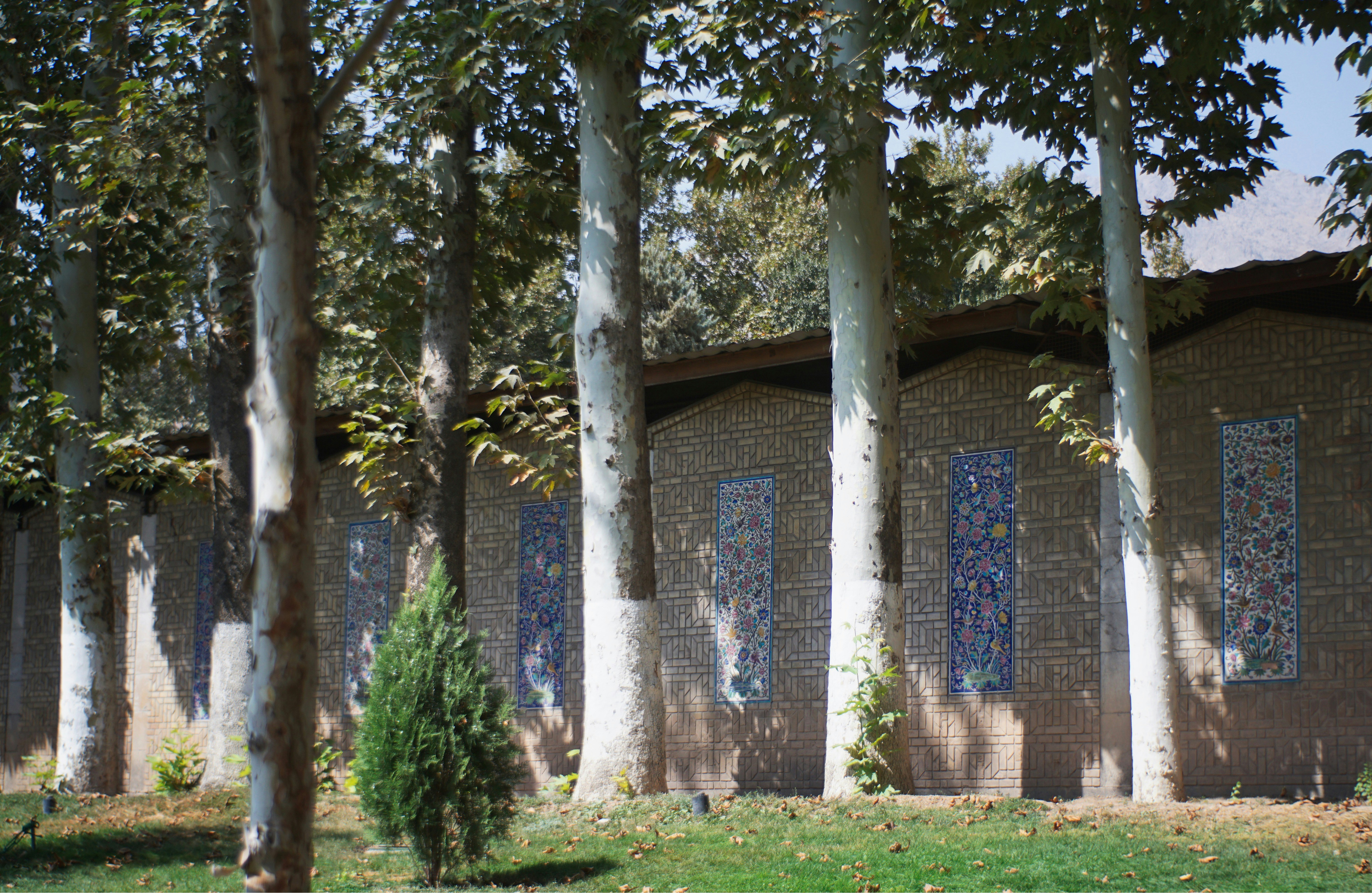 Photo by mdrezajalali