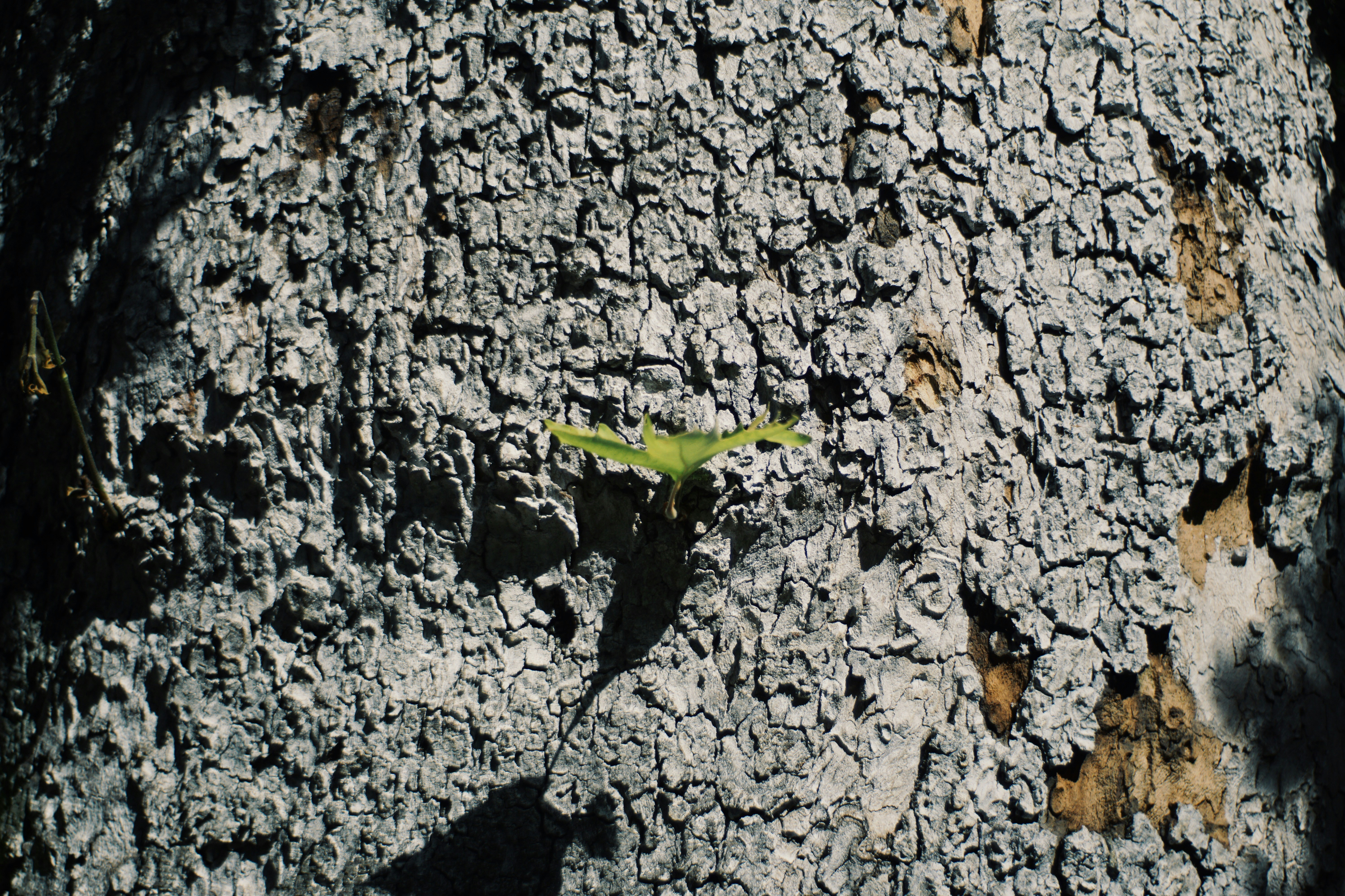 How To Cultivate Resilience in Changing Times [#3]