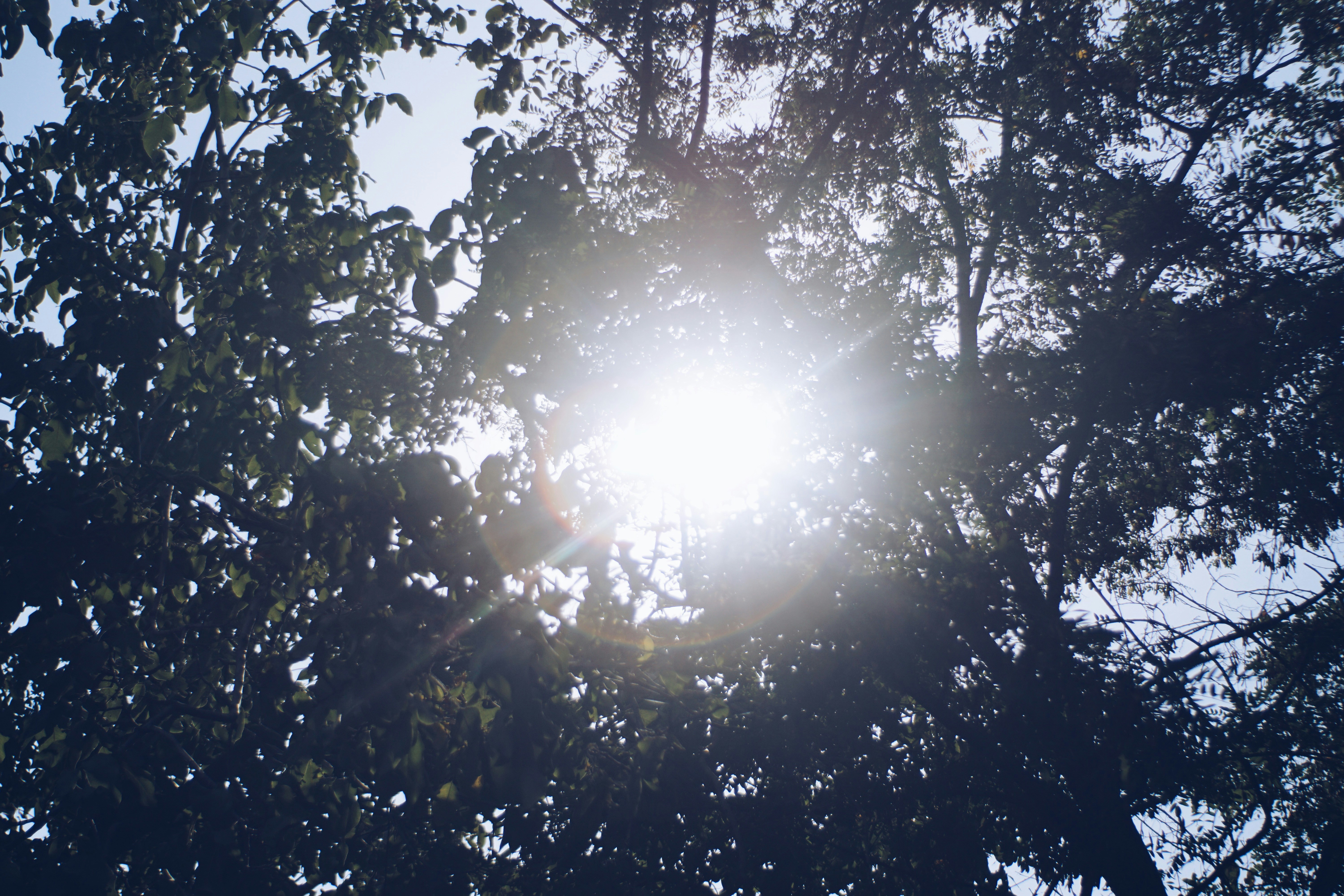 Photo by mdrezajalali