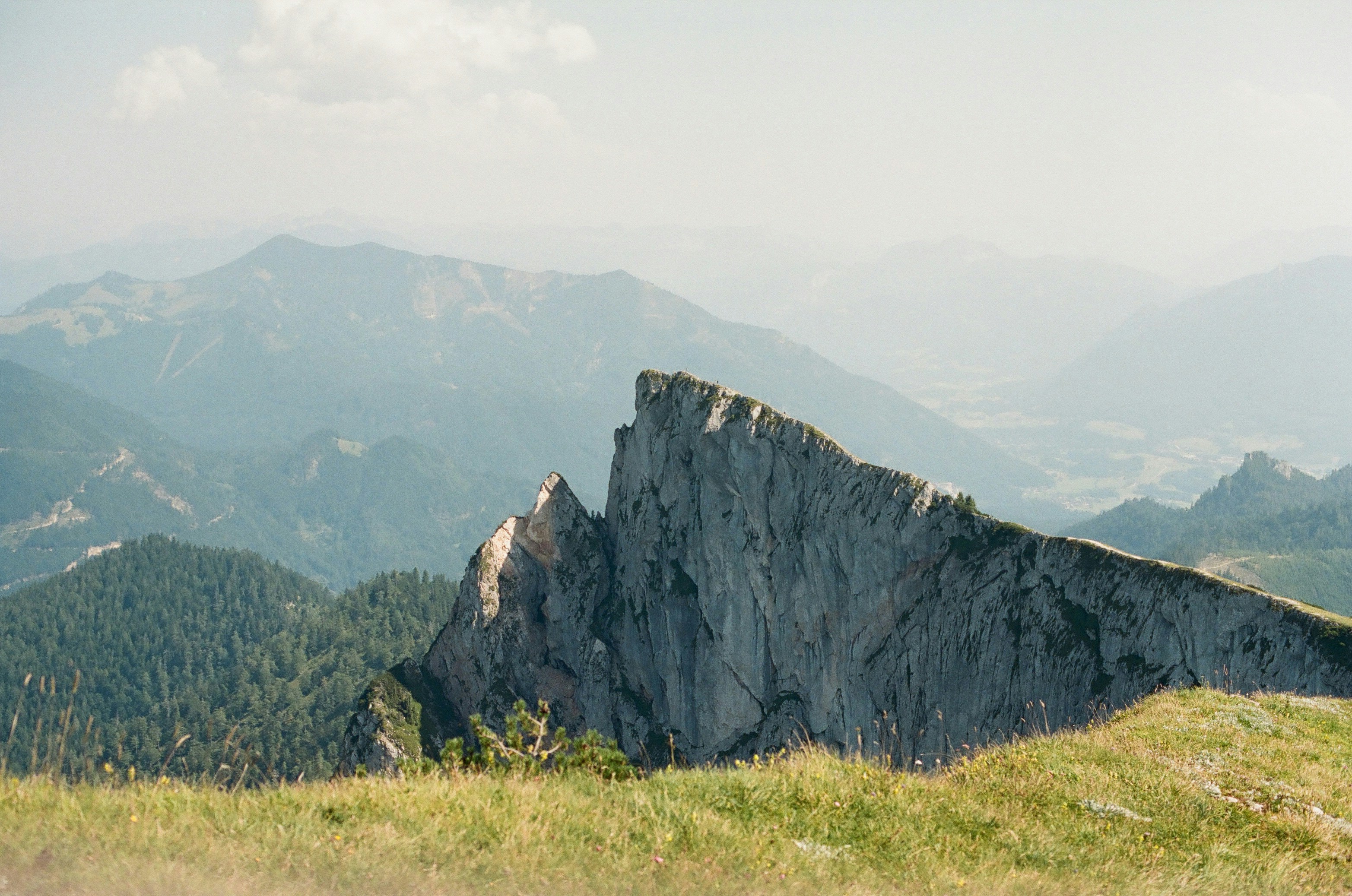 Photo by alexferdean