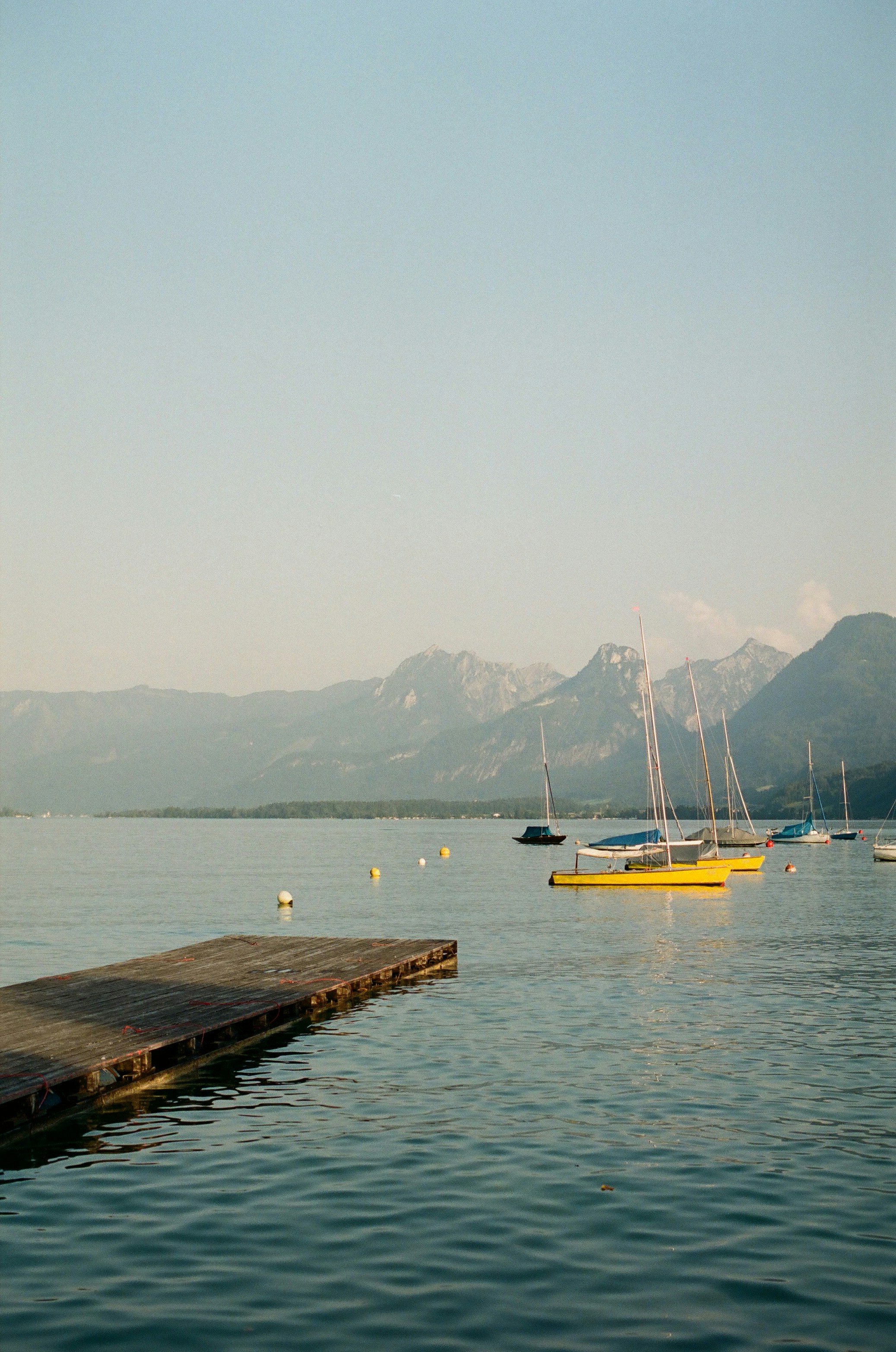 Photo by alexferdean