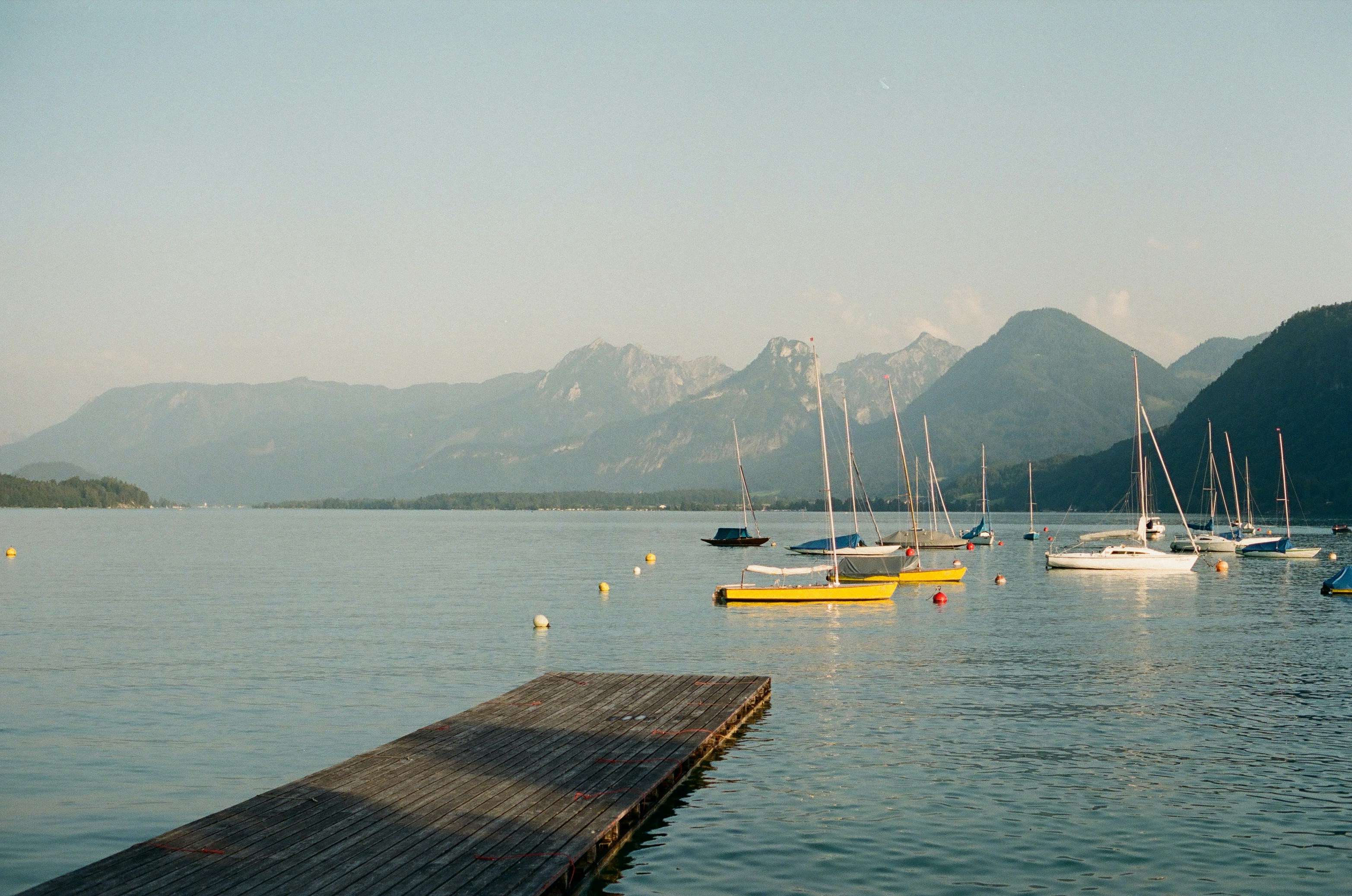 Photo by alexferdean