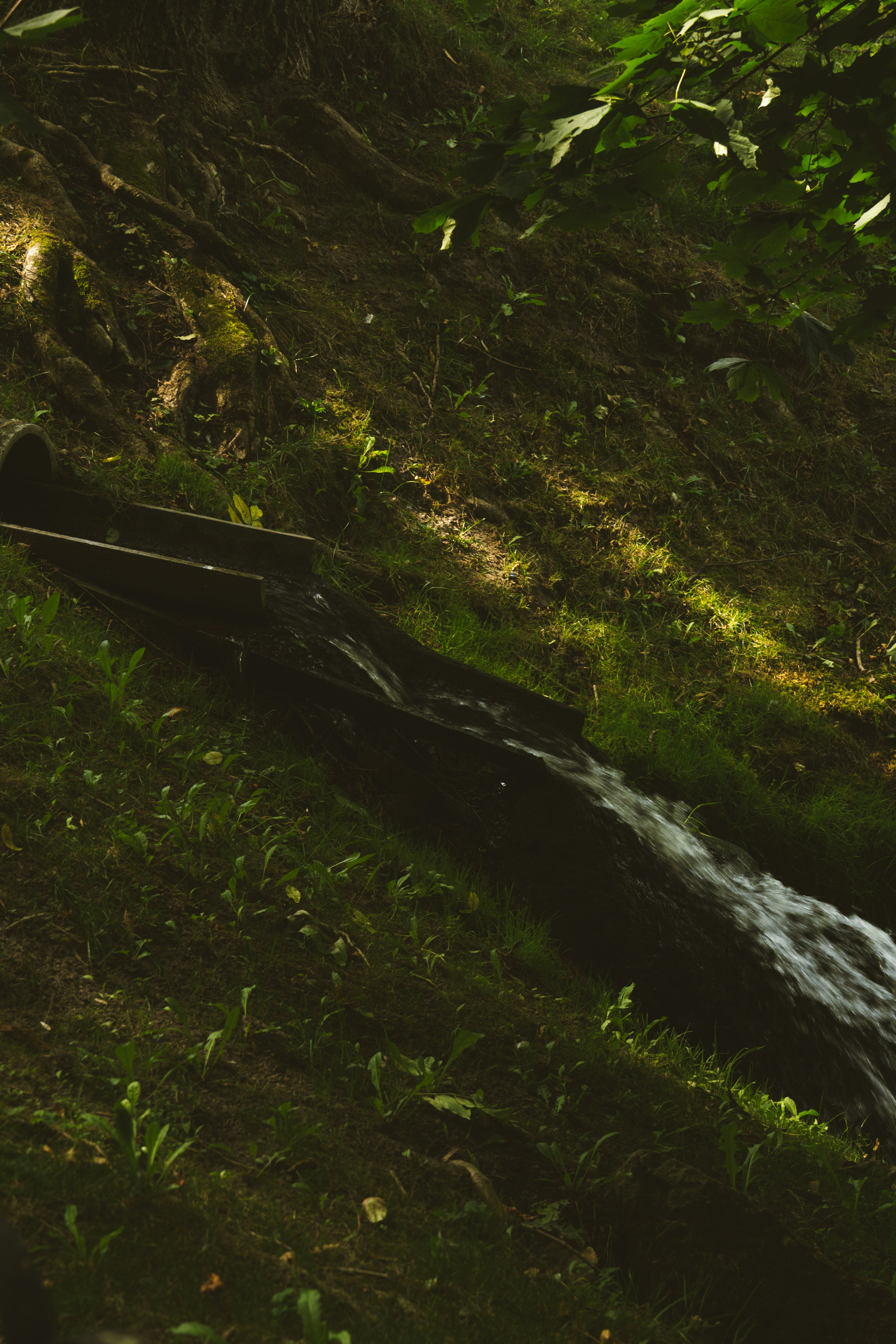 Photo by nazarii_kovalov