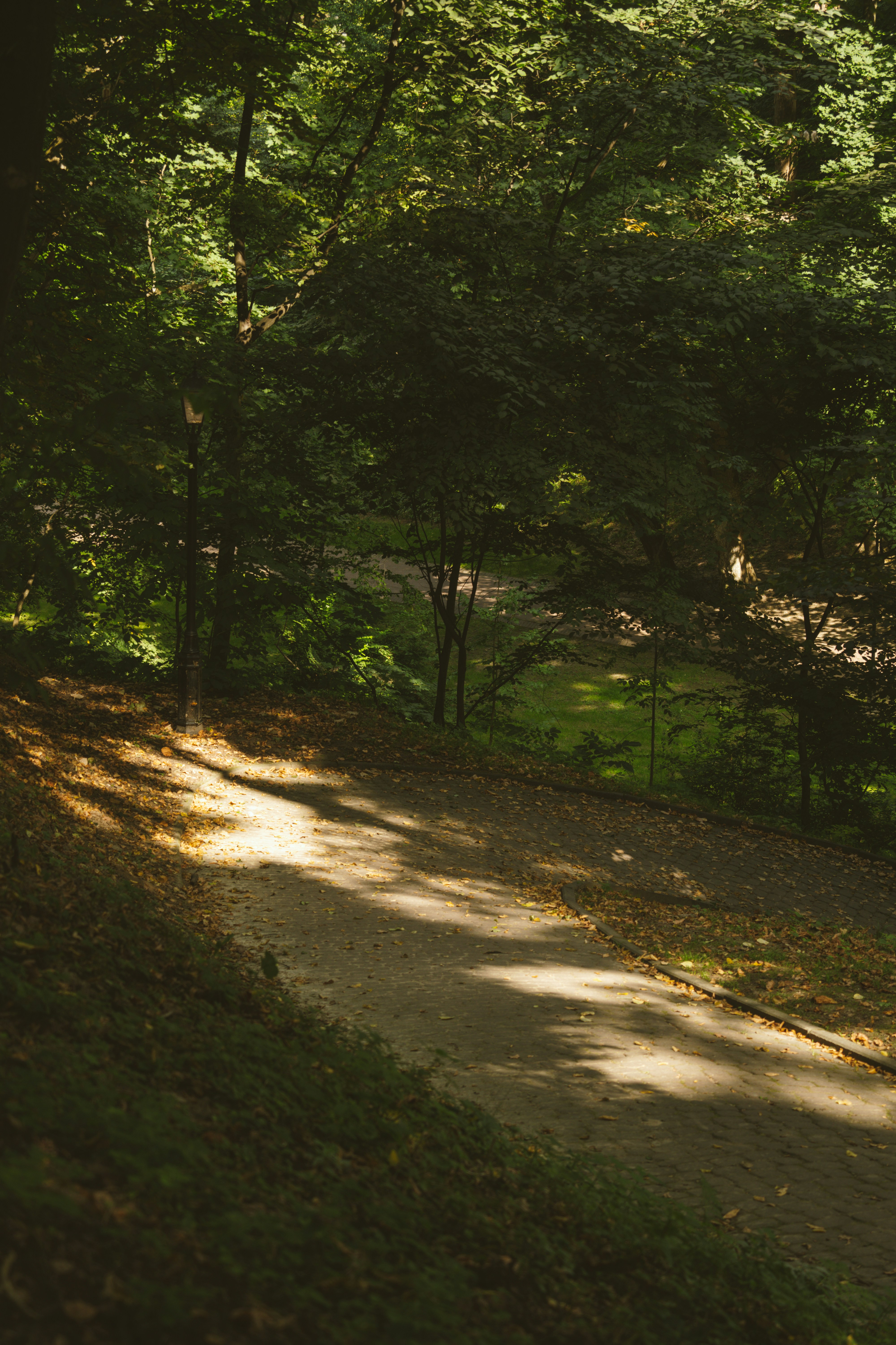 Photo by nazarii_kovalov