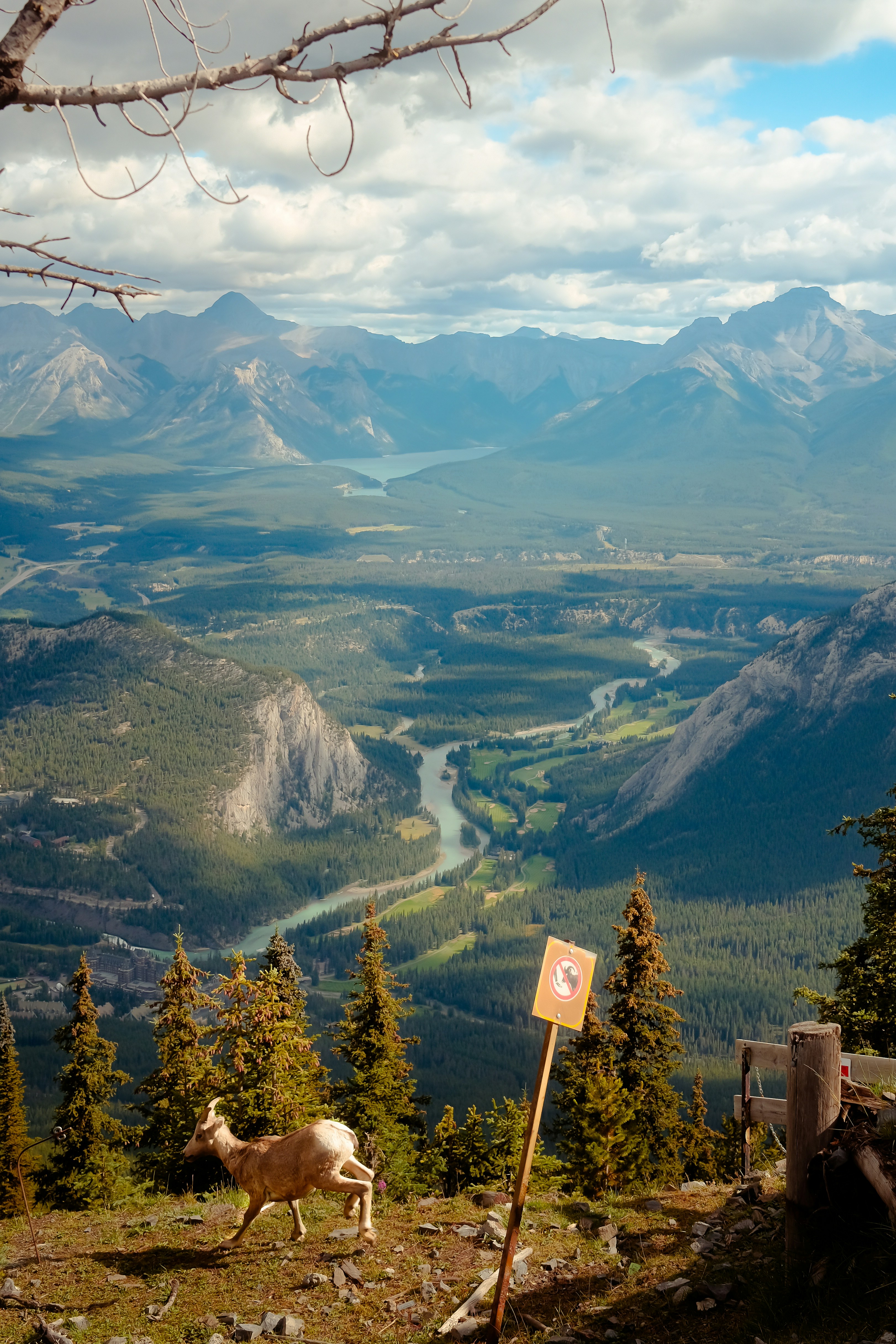 Photo by brendythings