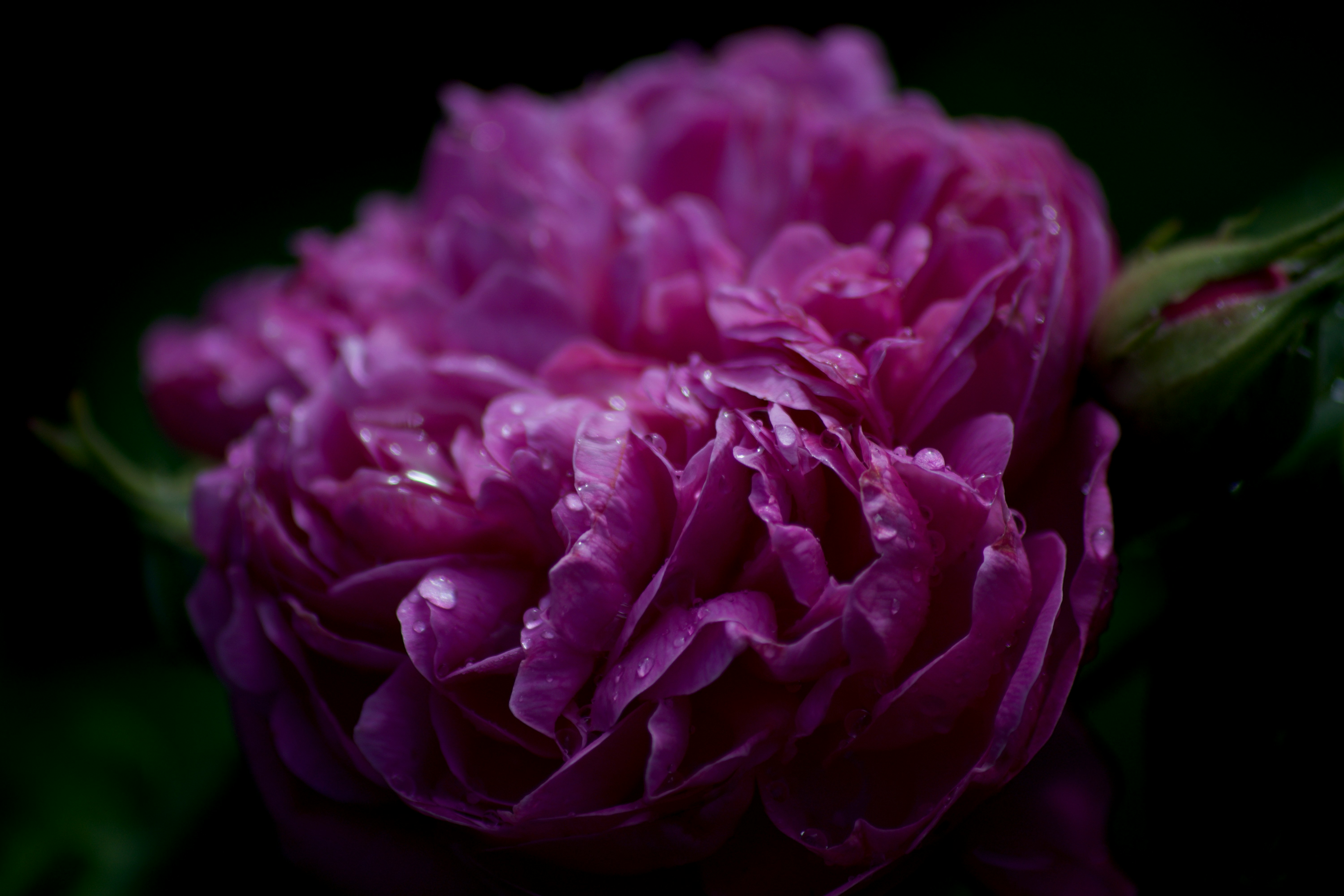 Photo by elliott_colburn_photos777