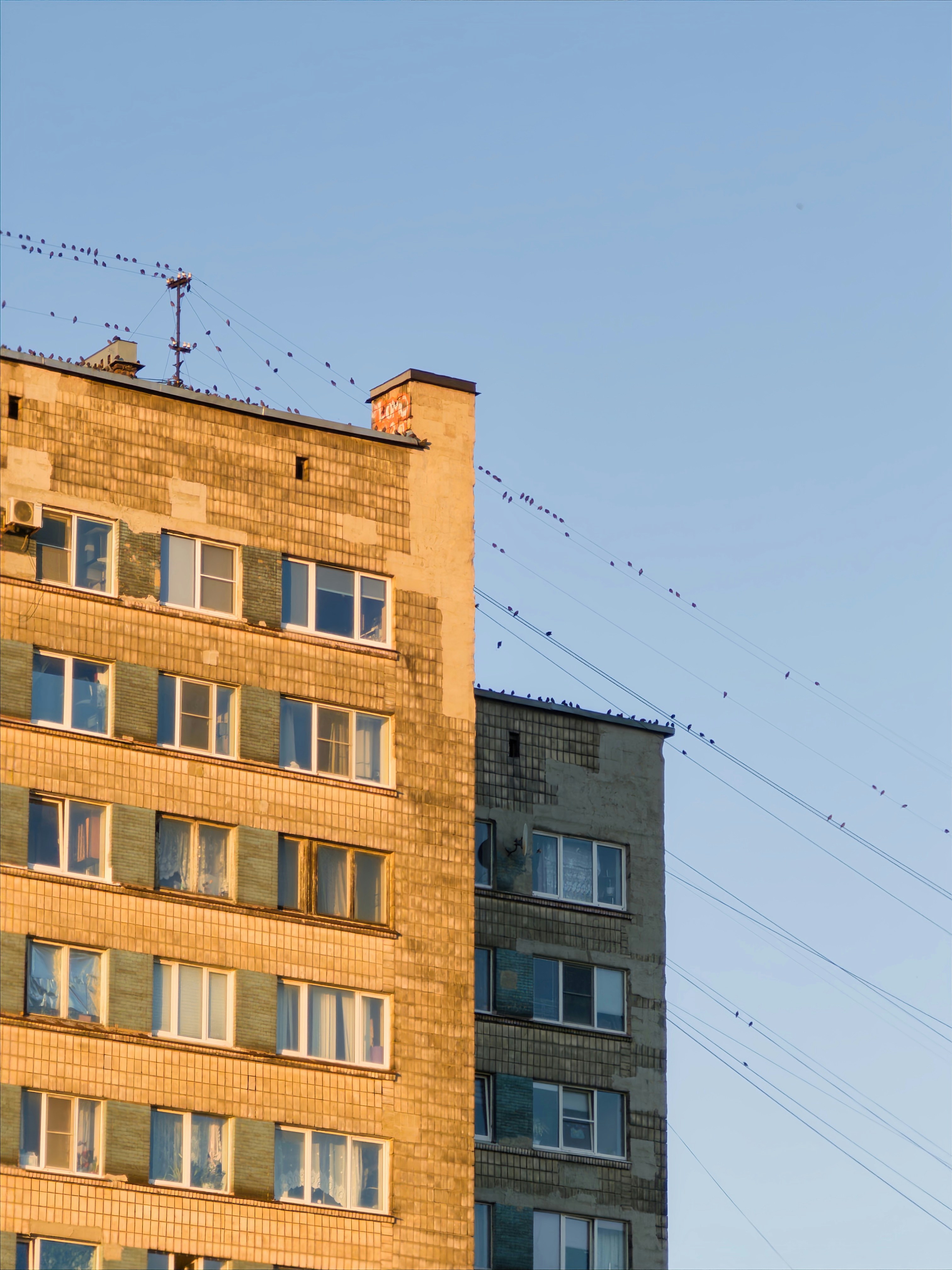 Photo by goldfinch1009