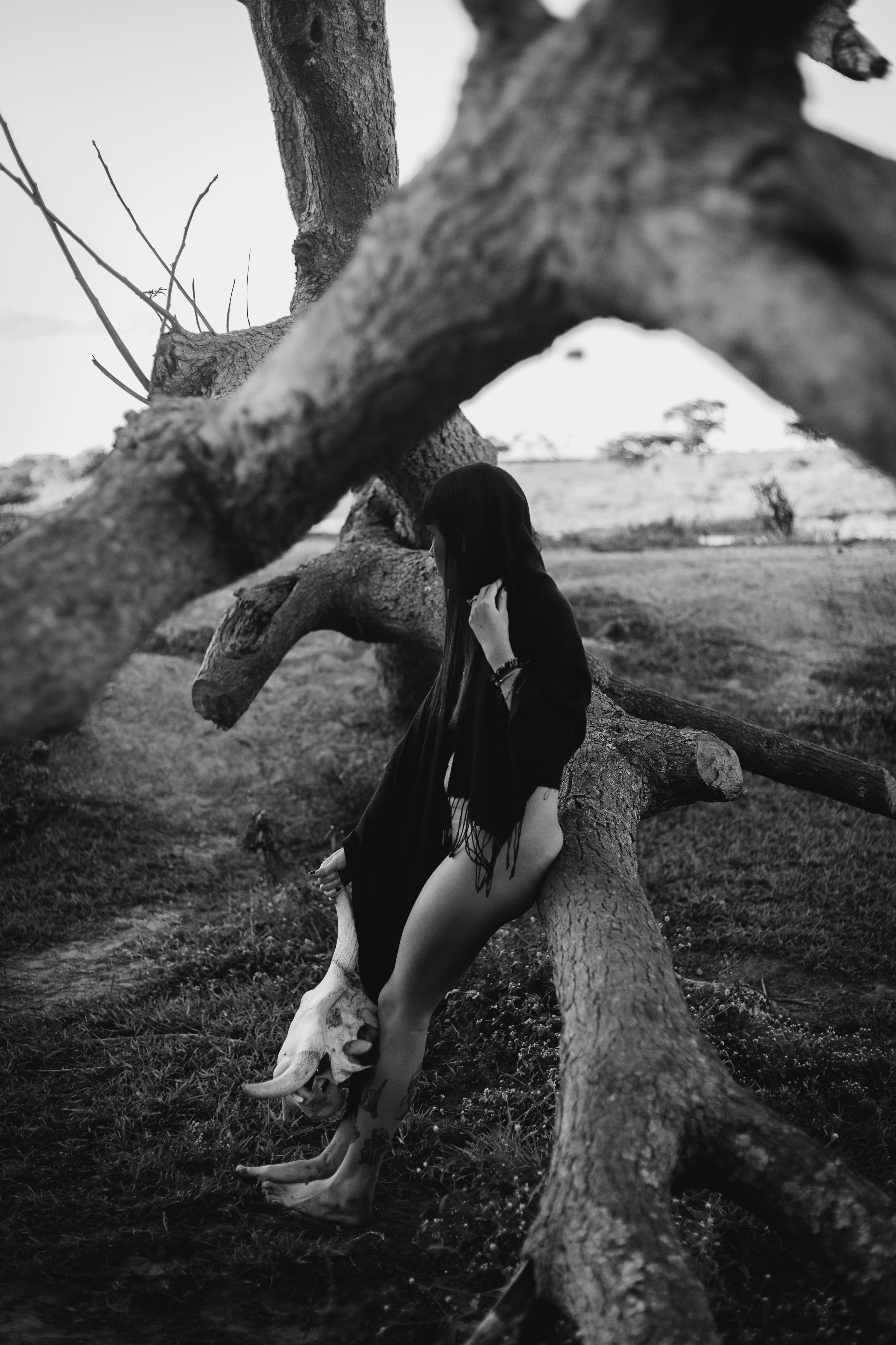 Photo by marlonalvesphoto