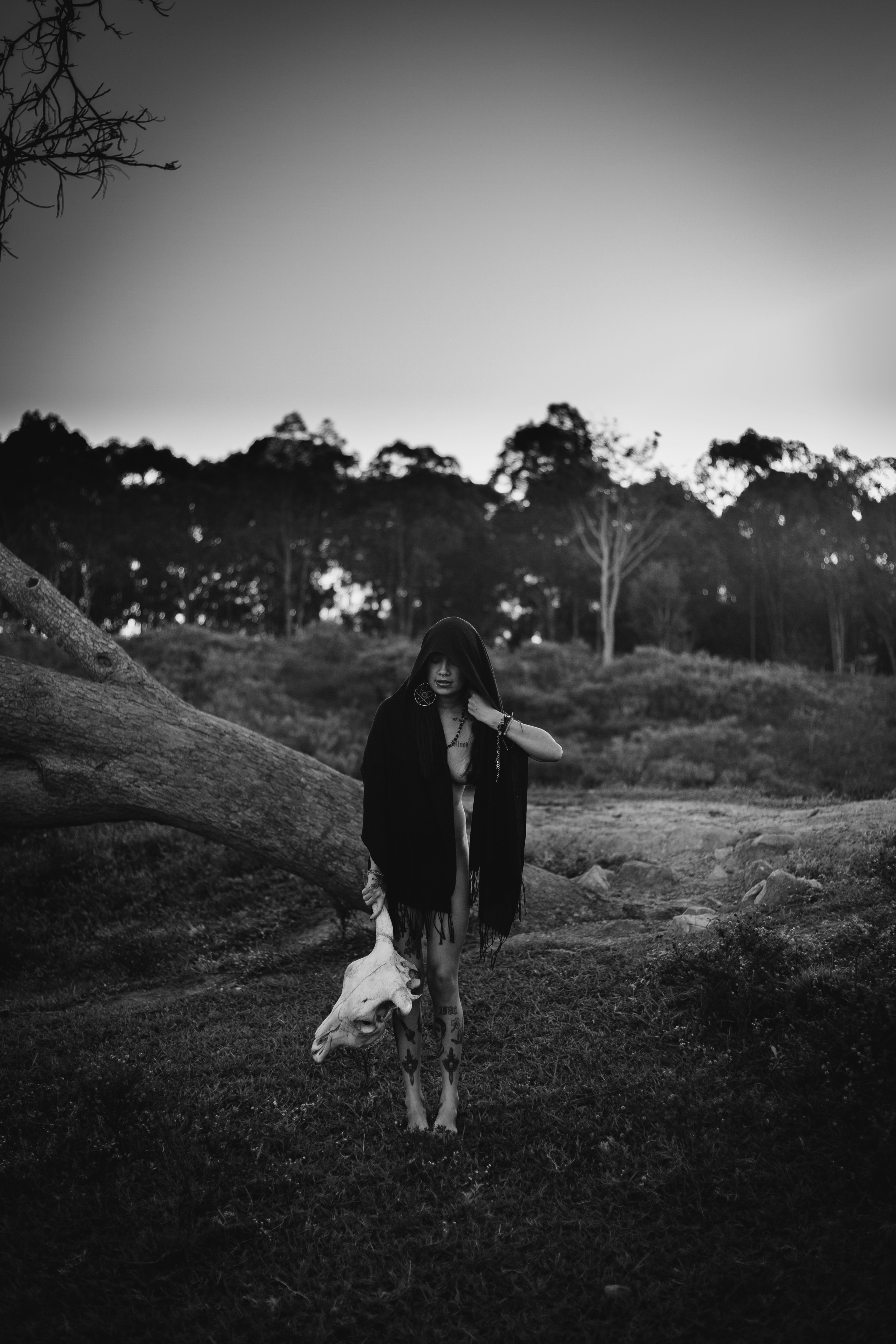 Photo by marlonalvesphoto