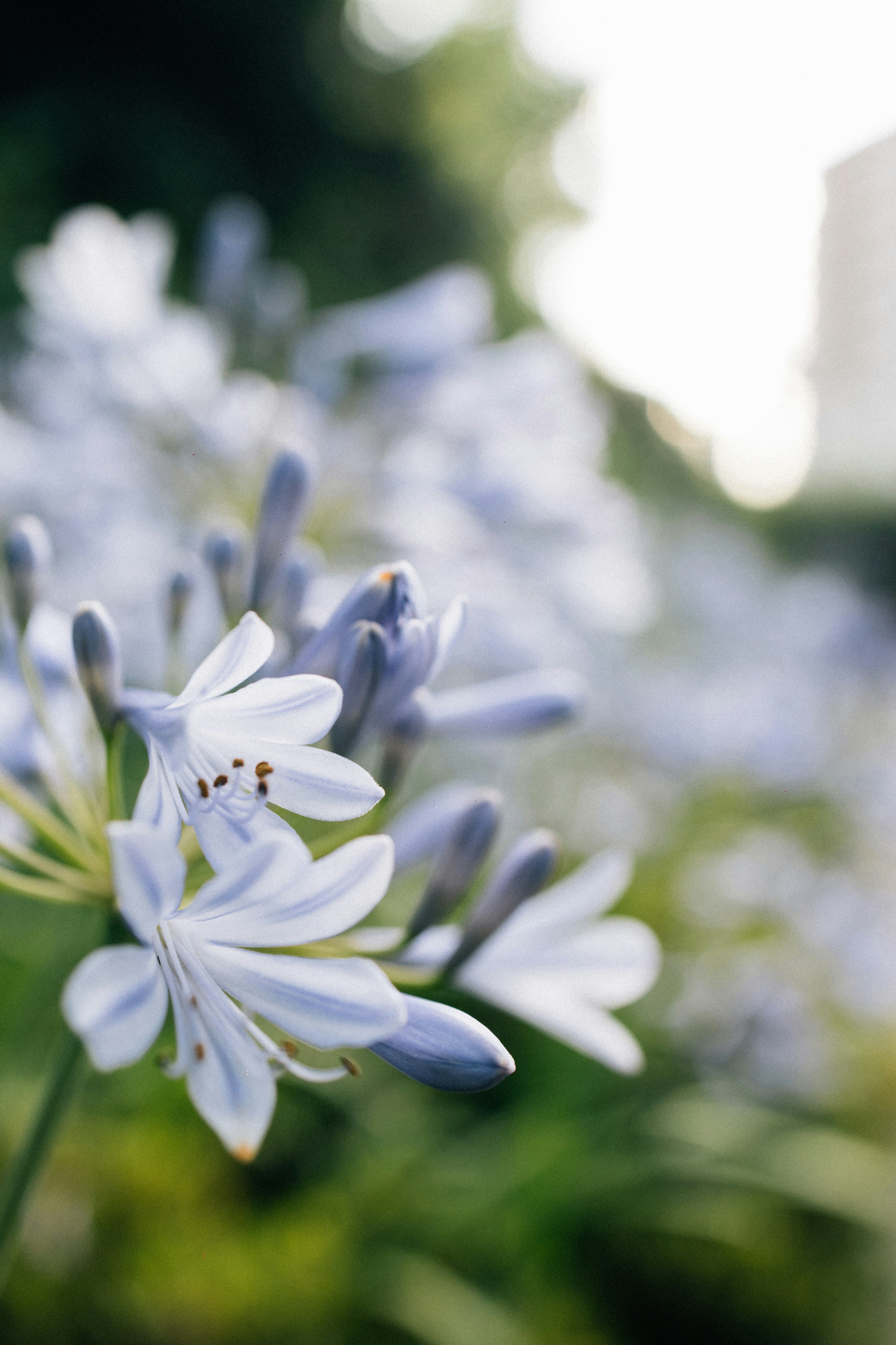 Photo by tsuyoshikozu