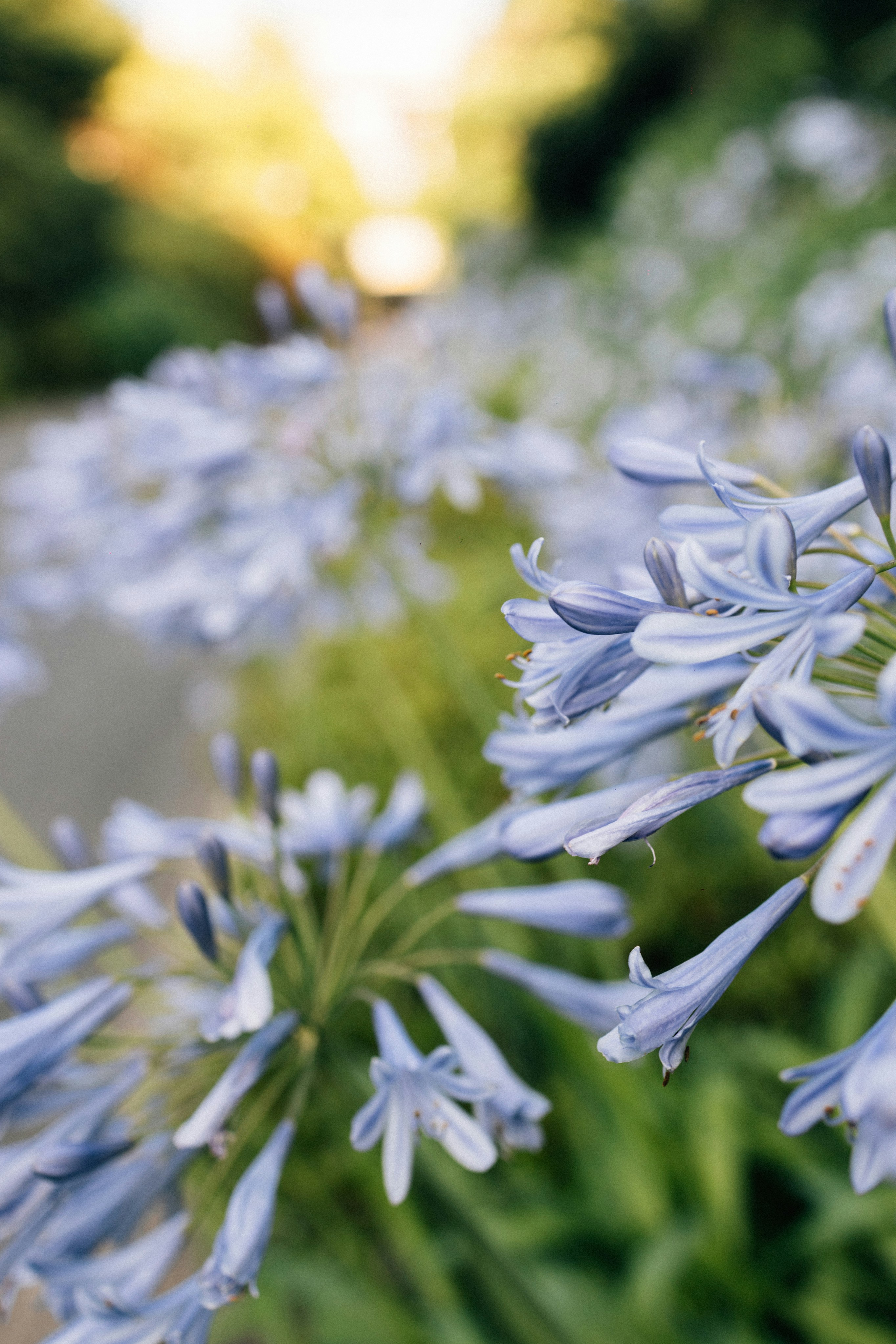 Photo by tsuyoshikozu