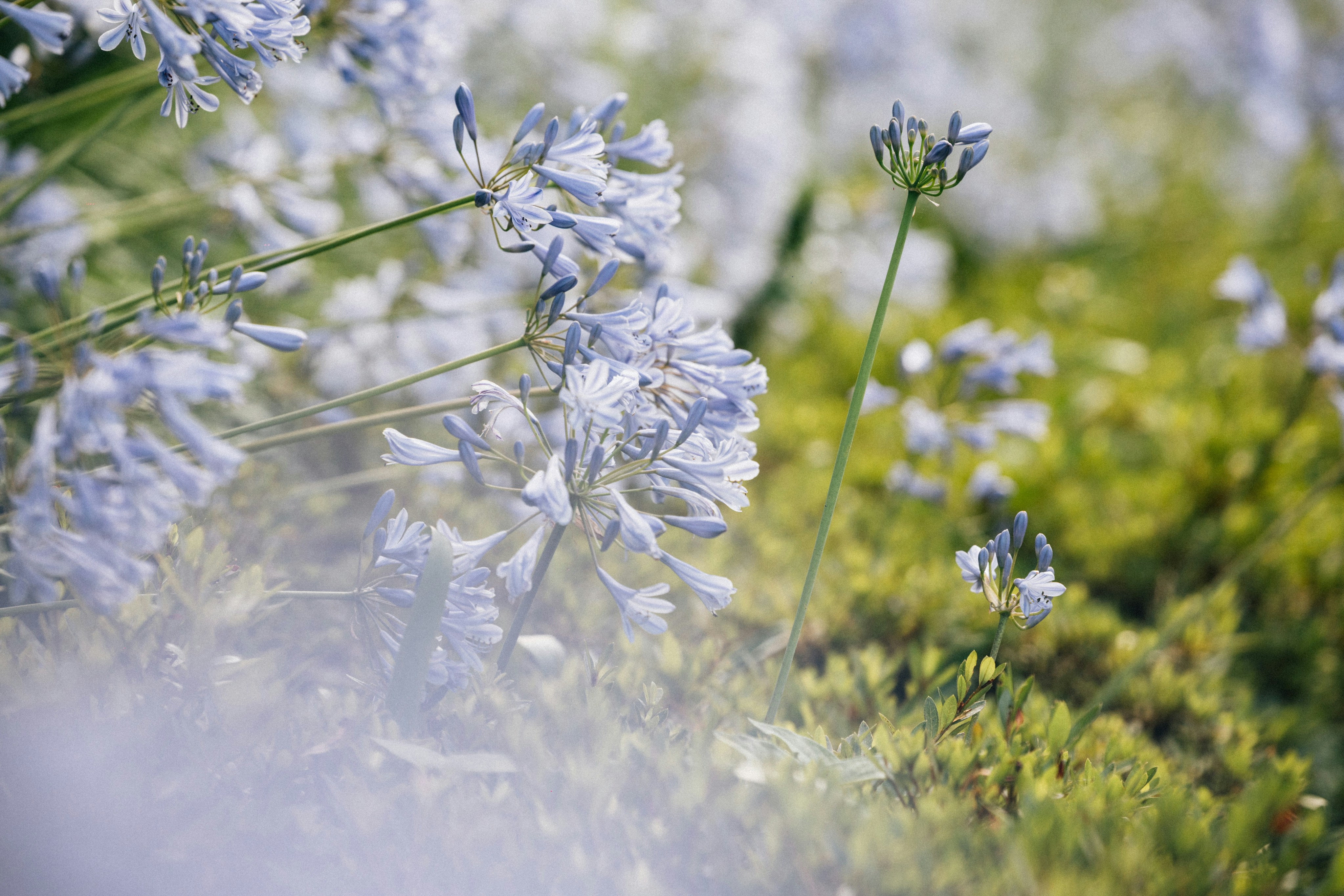 Photo by tsuyoshikozu