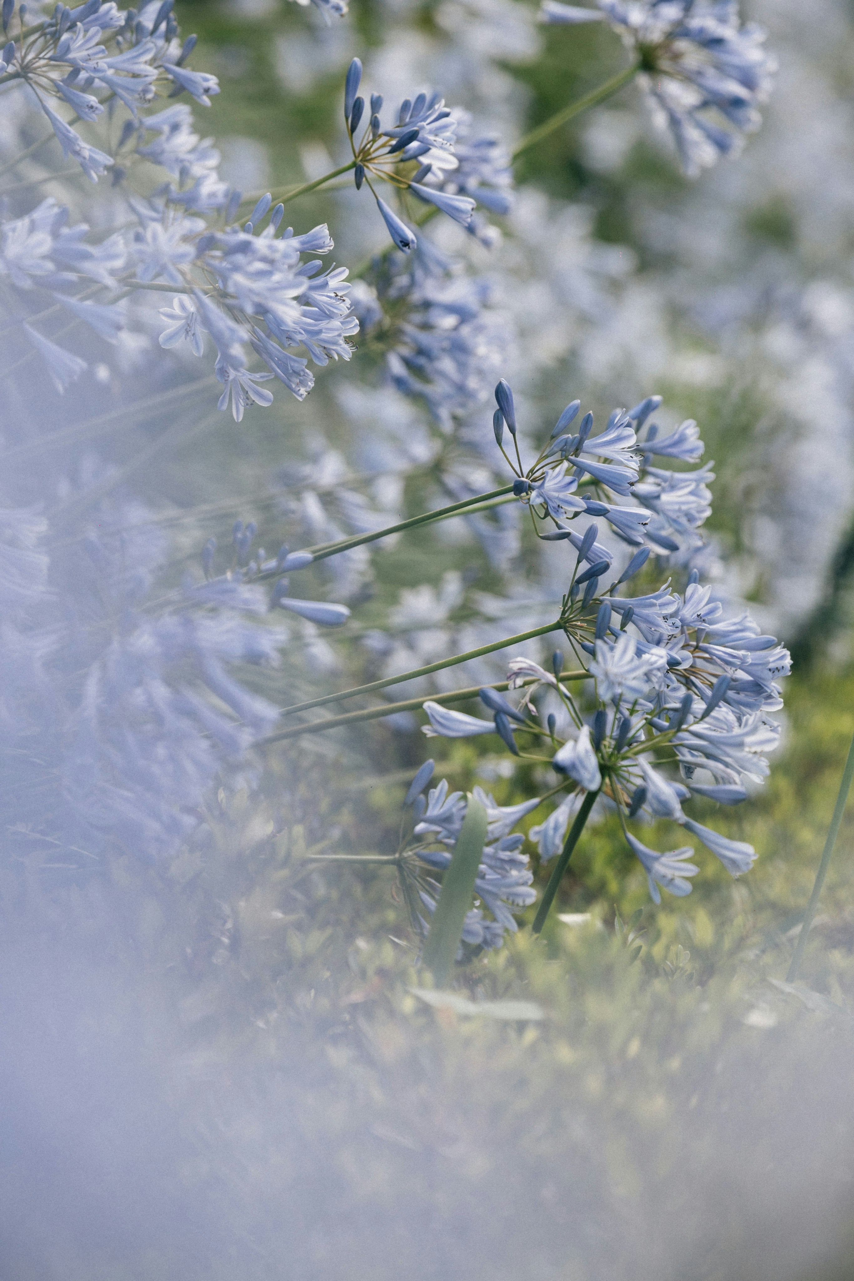 Photo by tsuyoshikozu