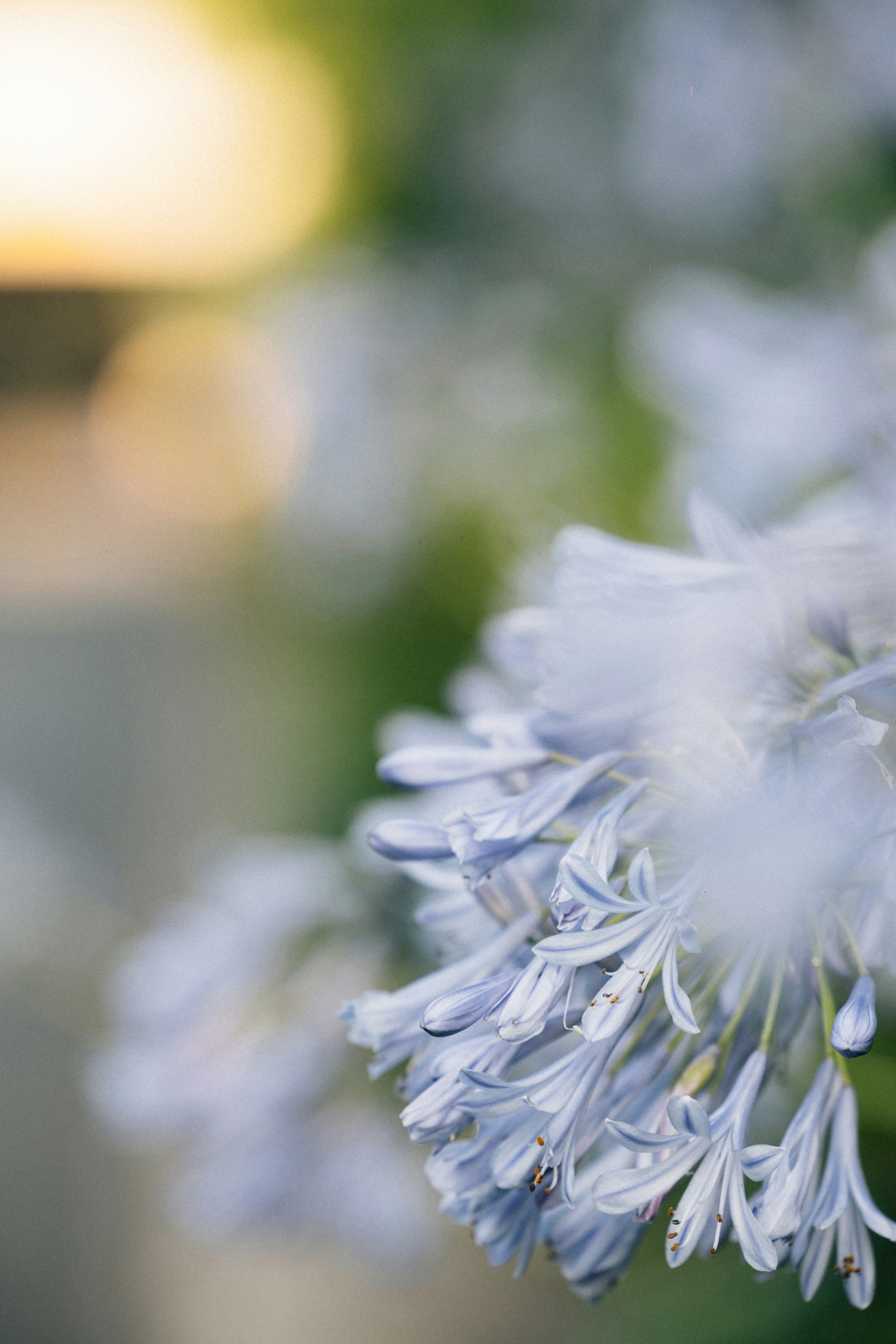 Photo by tsuyoshikozu