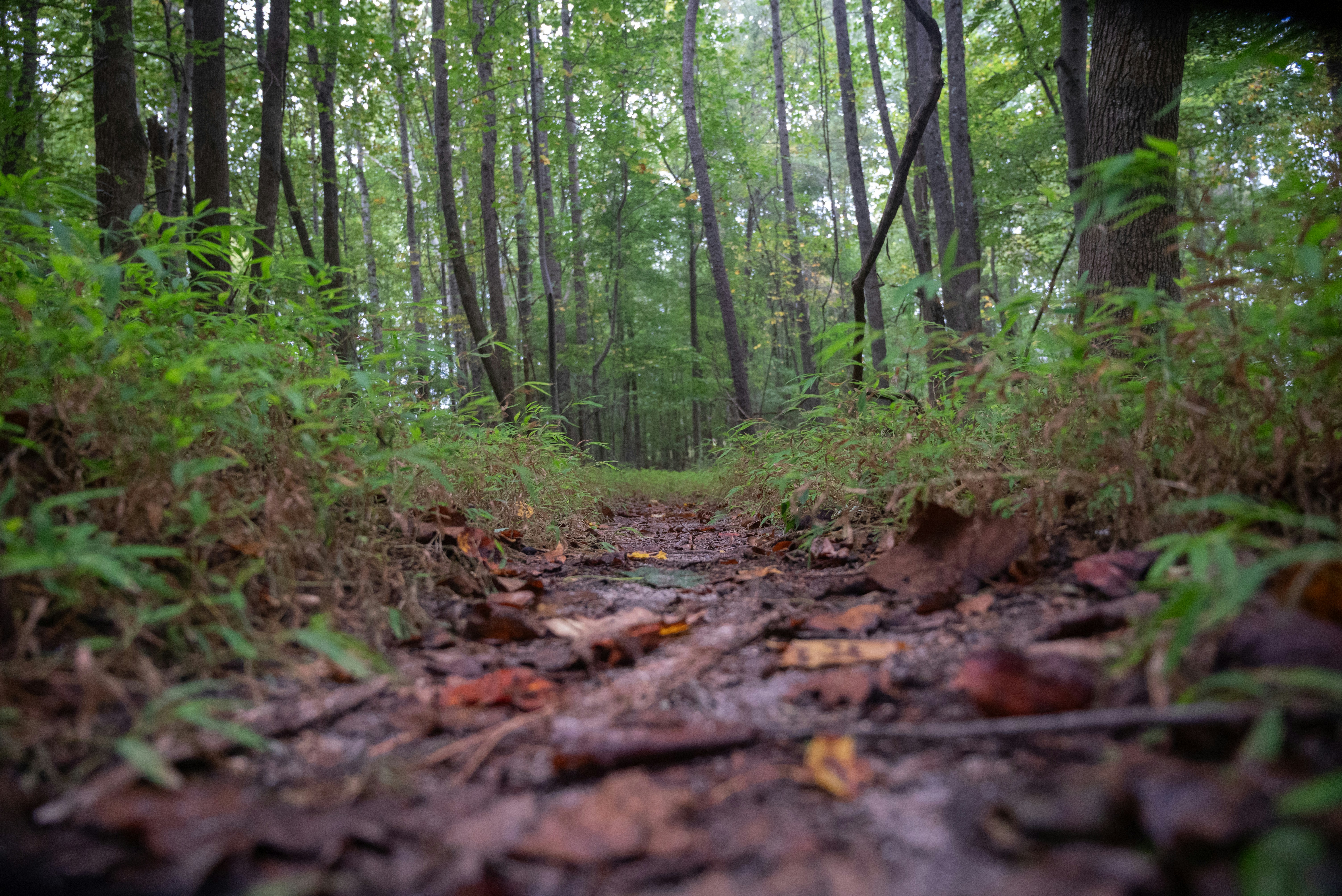 Photo by agilesyndrome