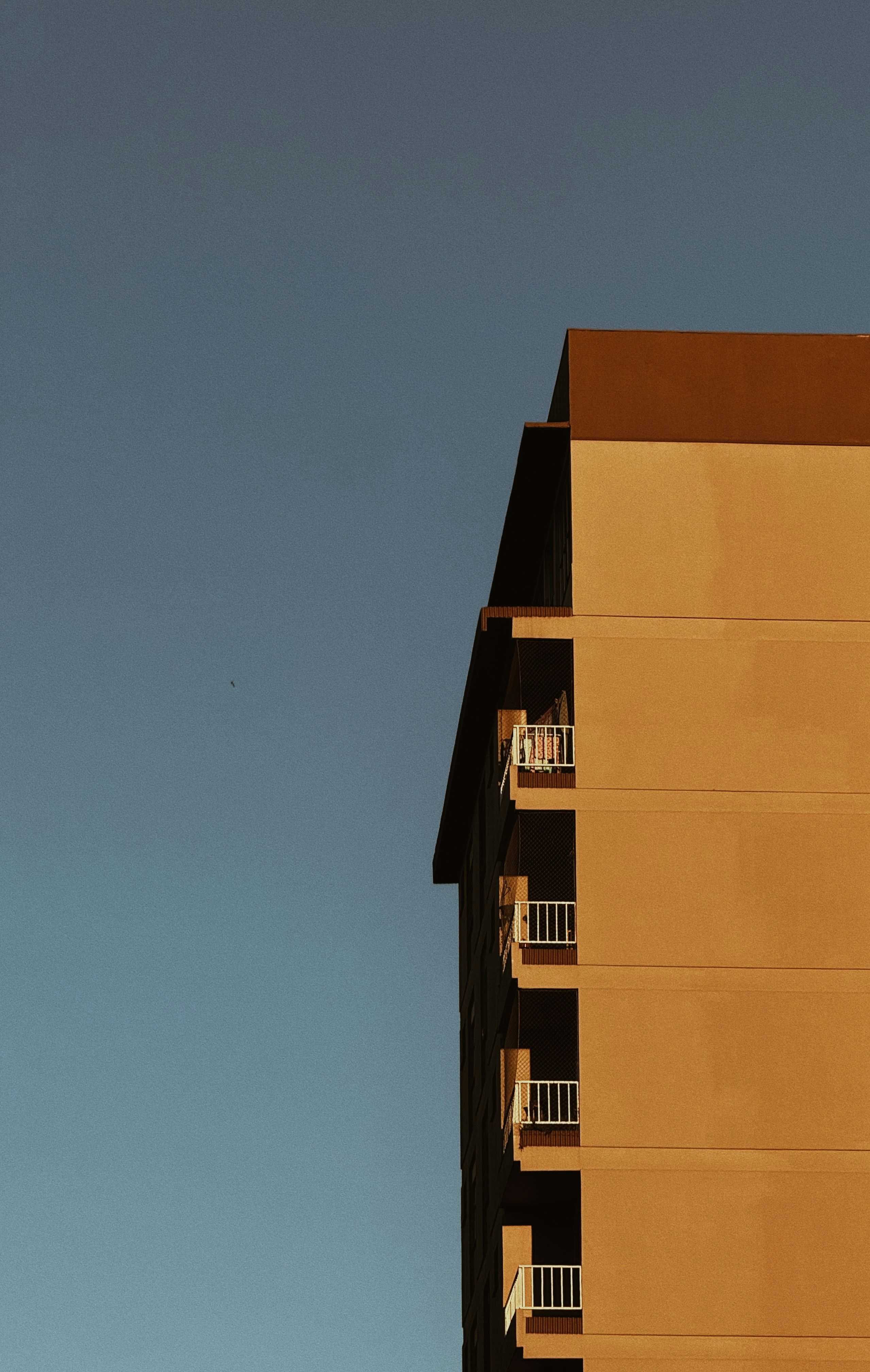 Photo by andreicastanha