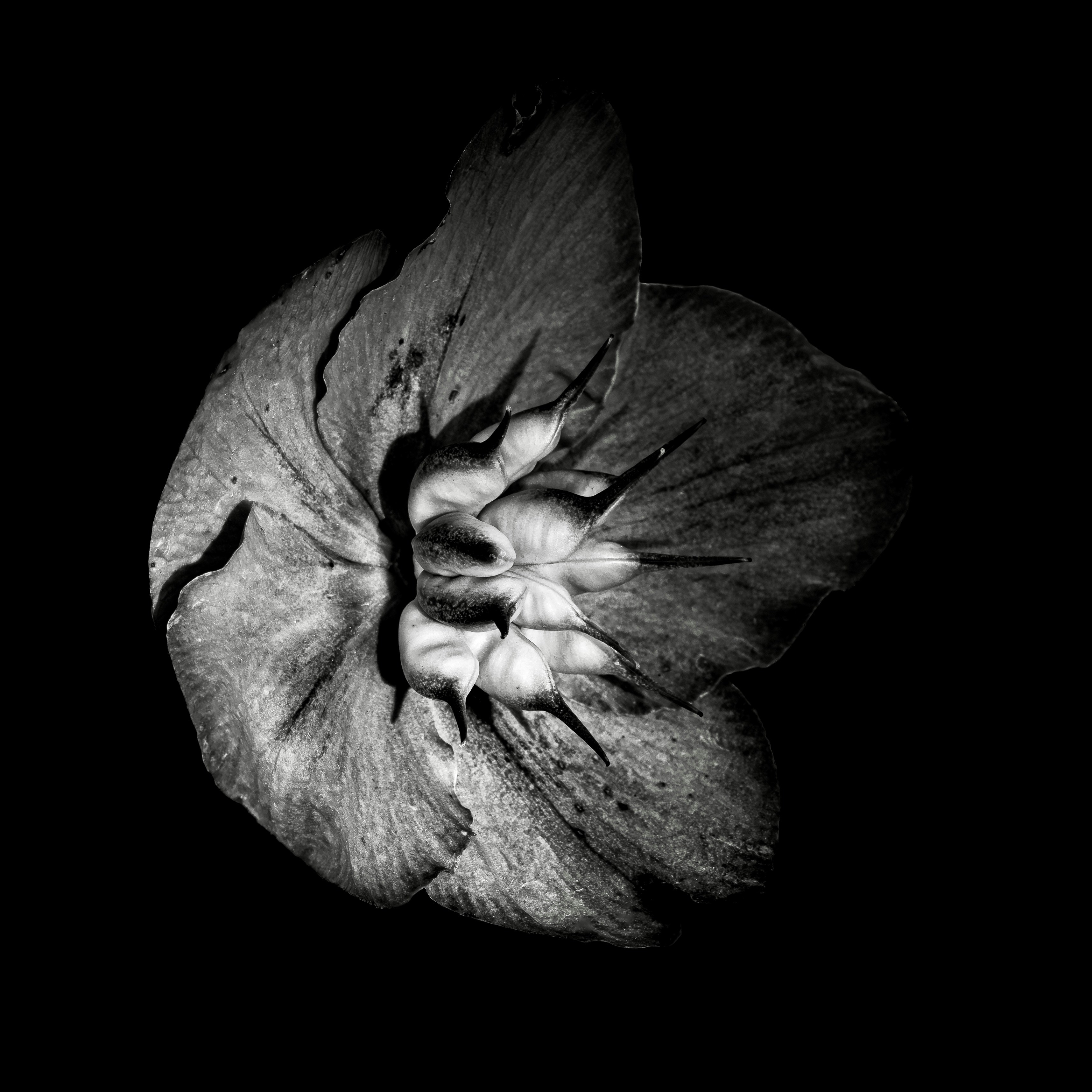 Photo by sschusterphotoart