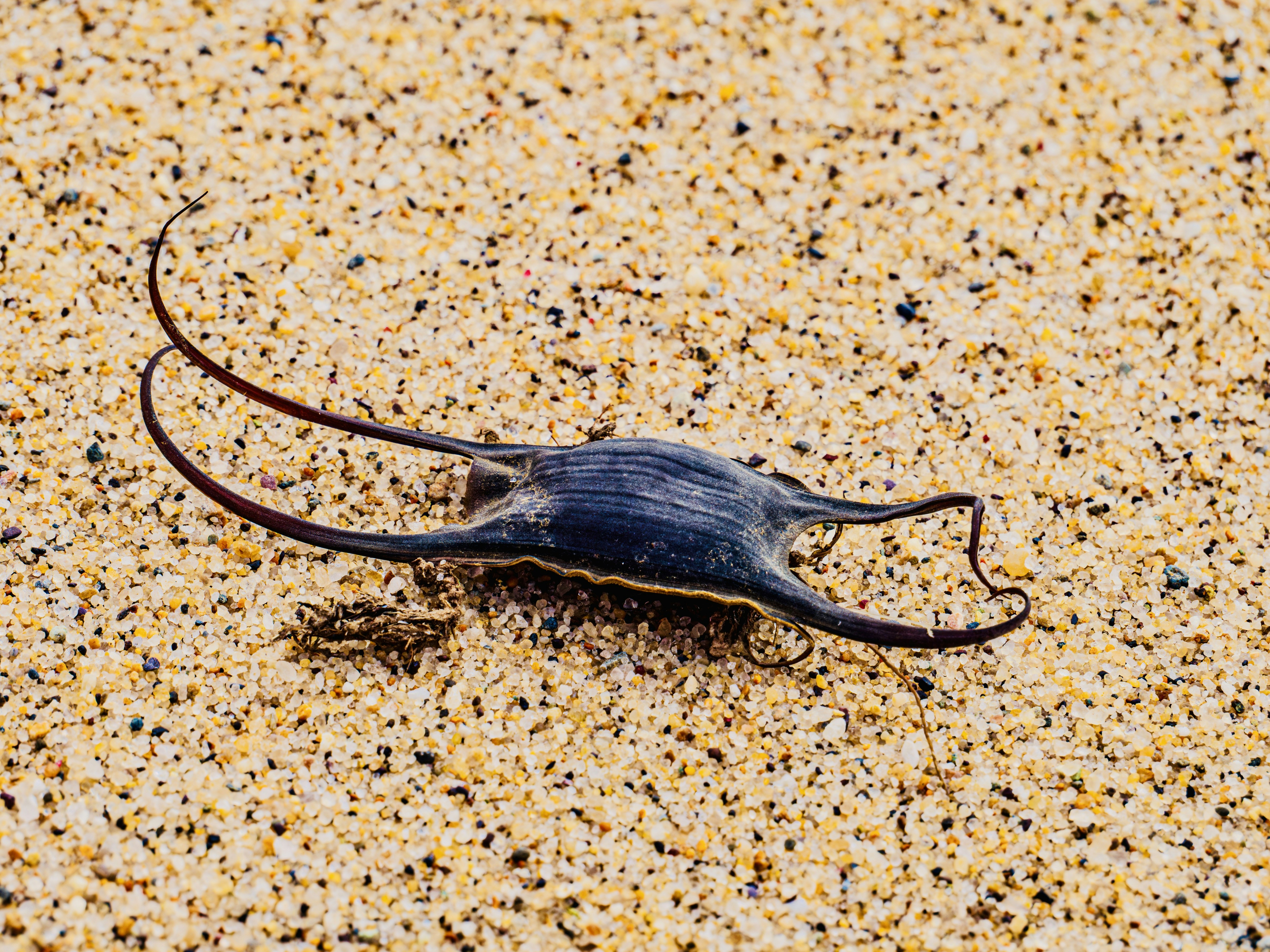 Photo by sschusterphotoart