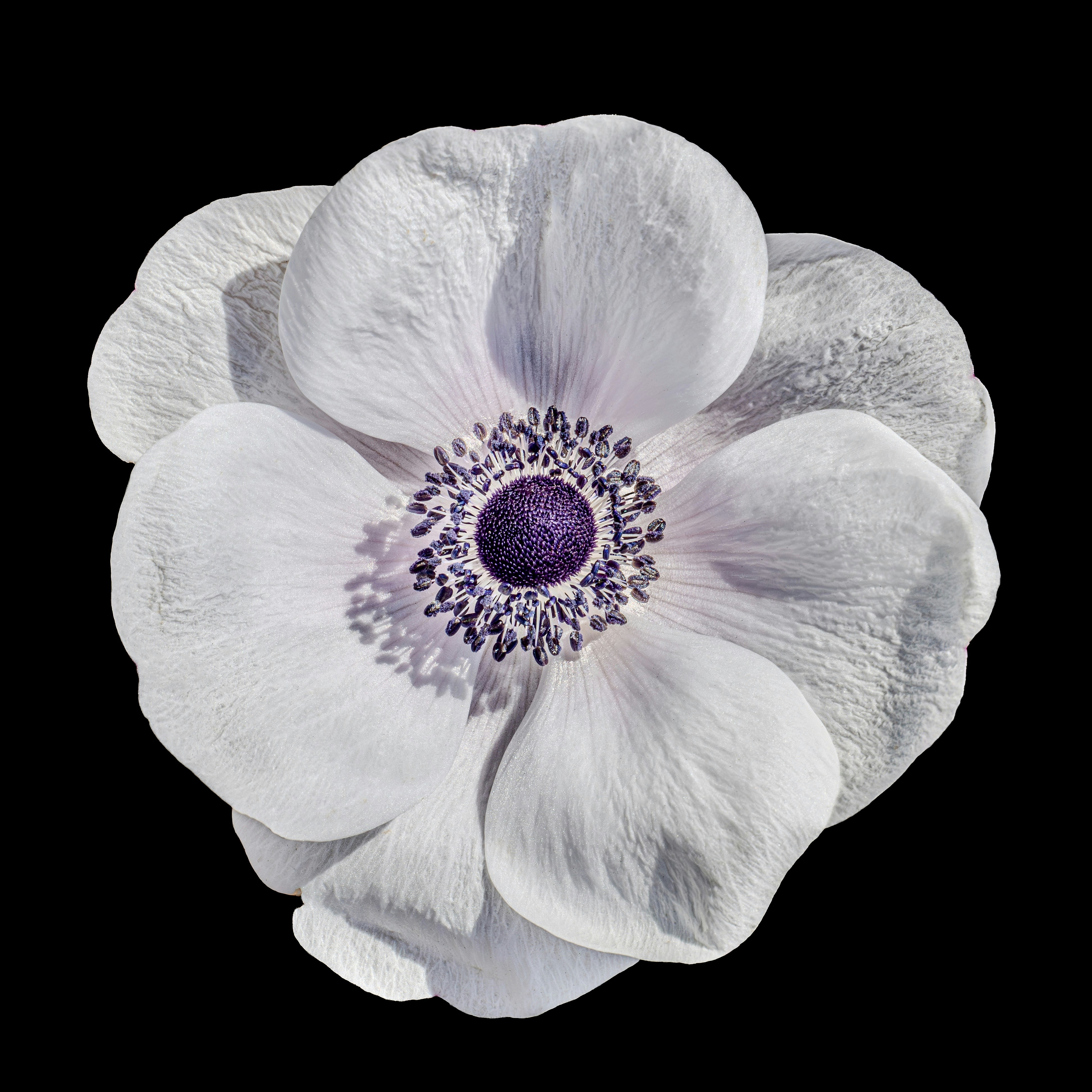 Photo by sschusterphotoart