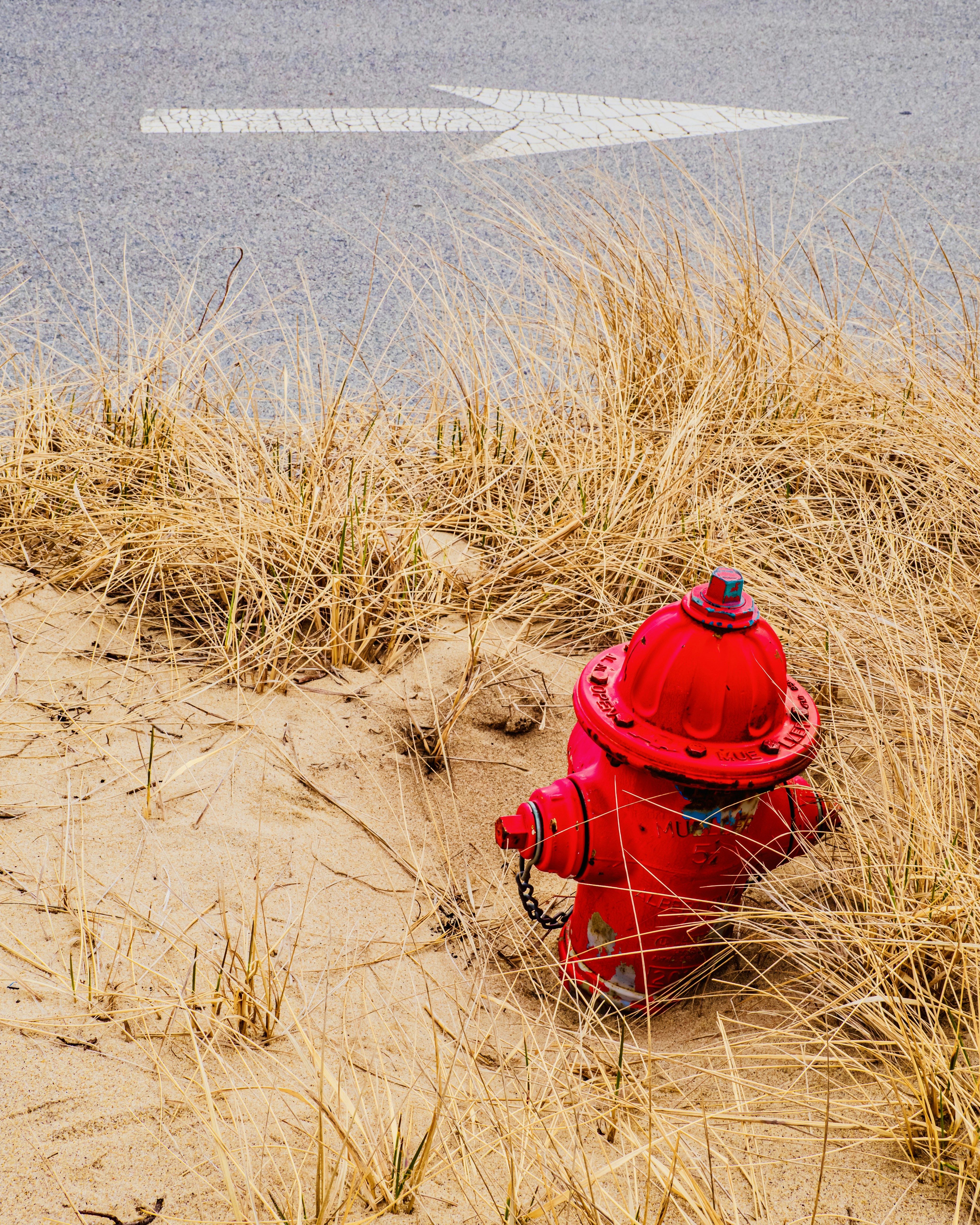 Photo by sschusterphotoart