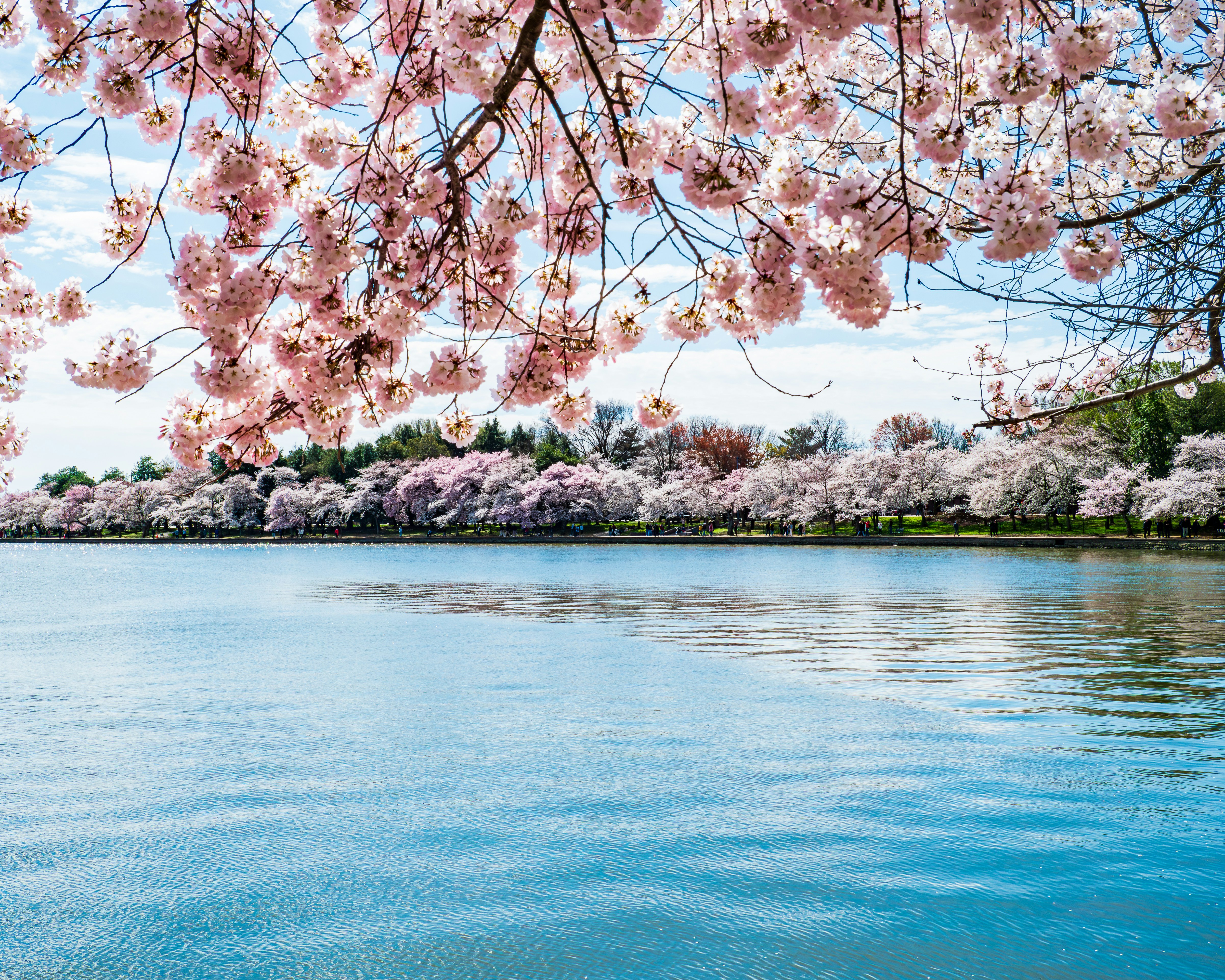 Photo by sschusterphotoart