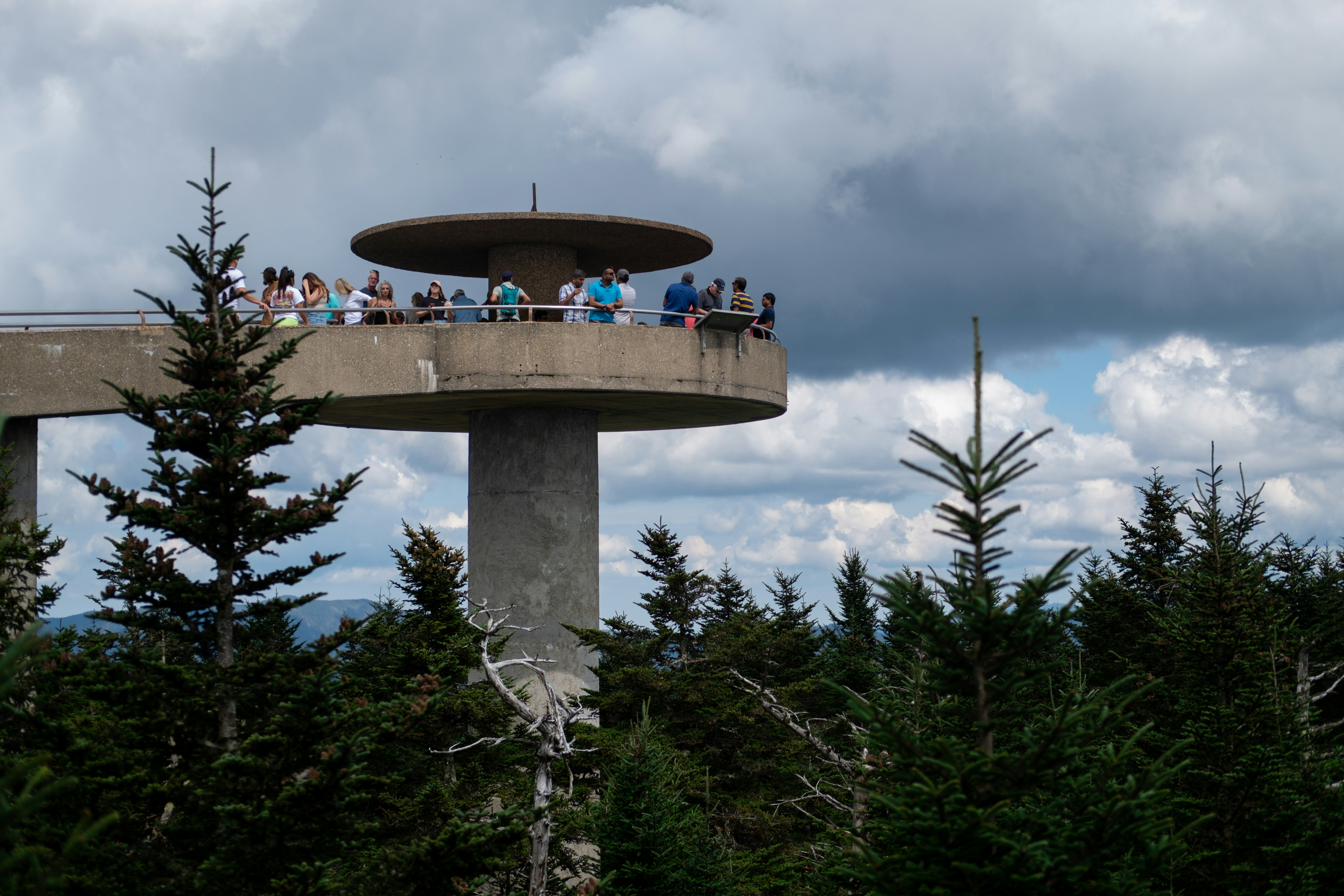 Observation deck with people overlooking a forest
