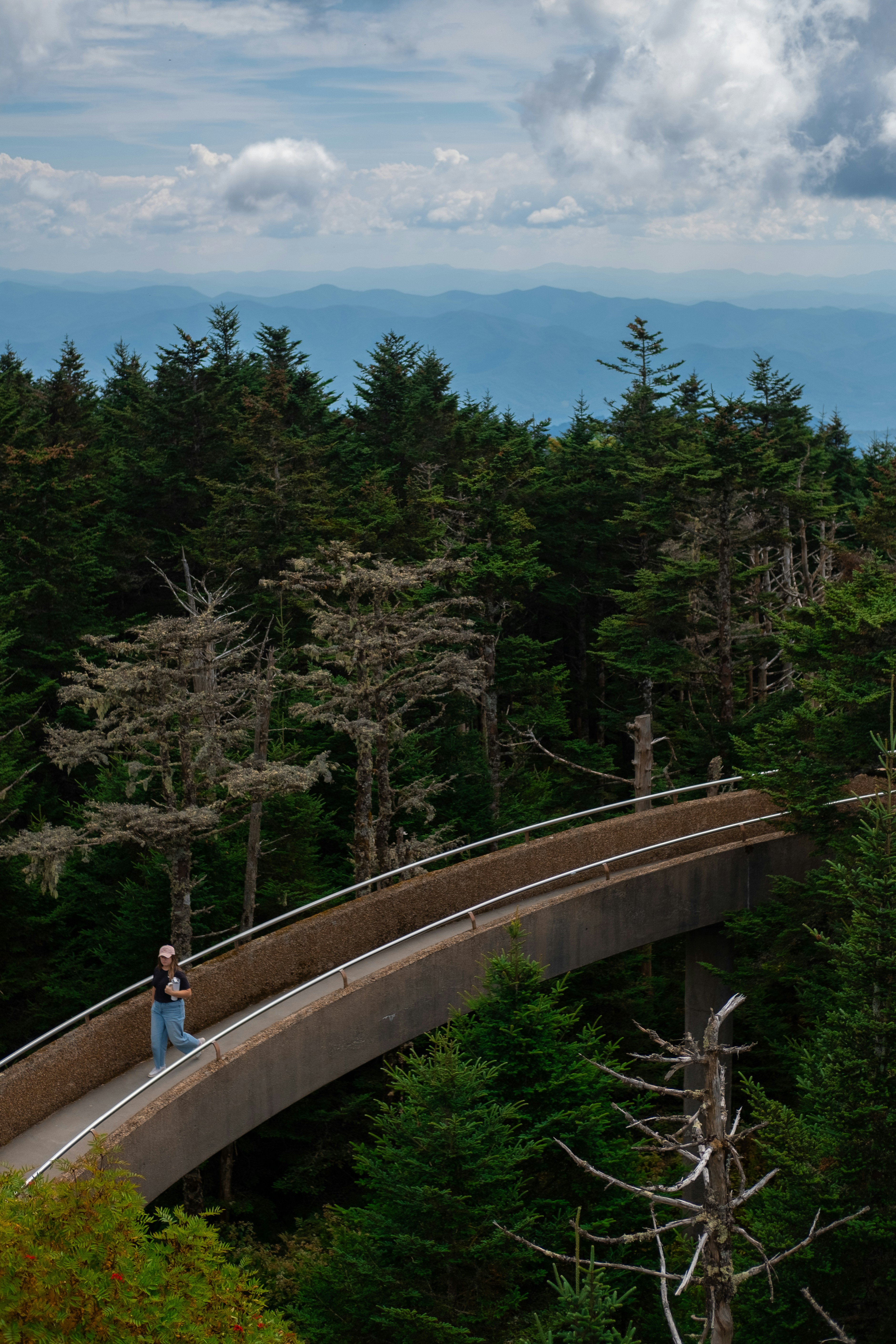 Person walks on elevated walkway through evergreen forest.
