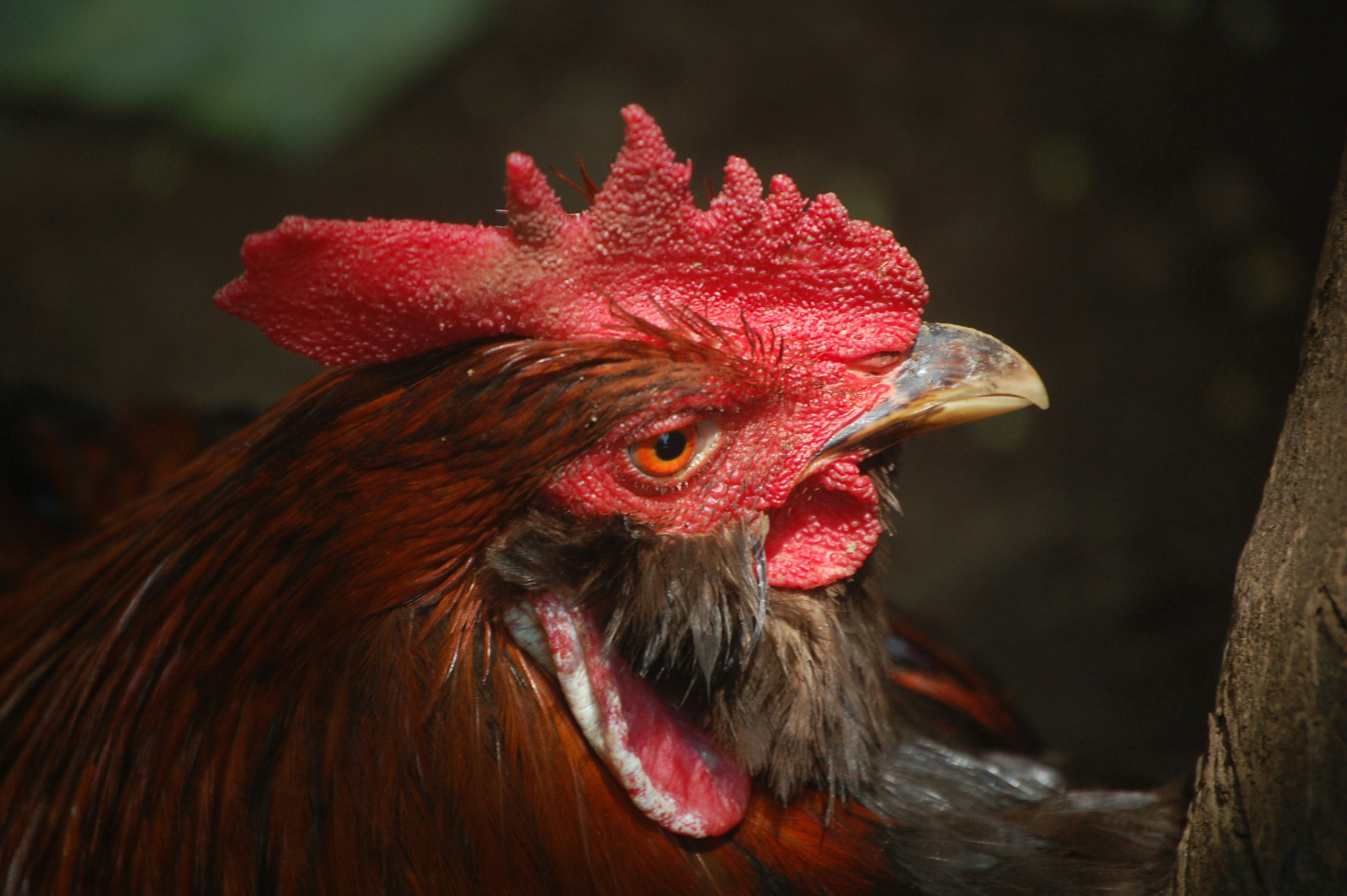 Photo by iam_estefaniav