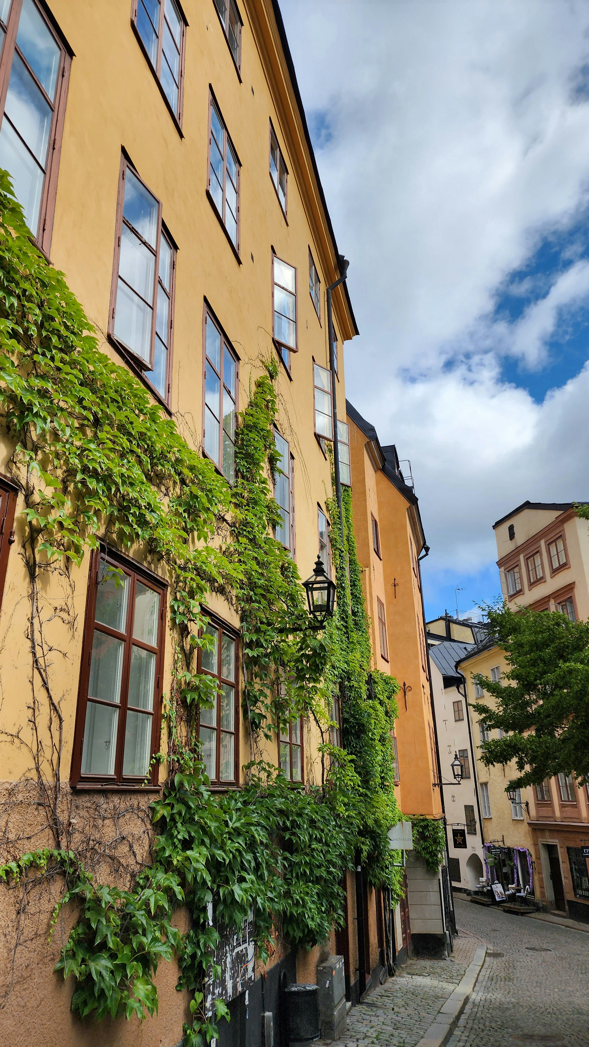 Photo by 2048megabytes