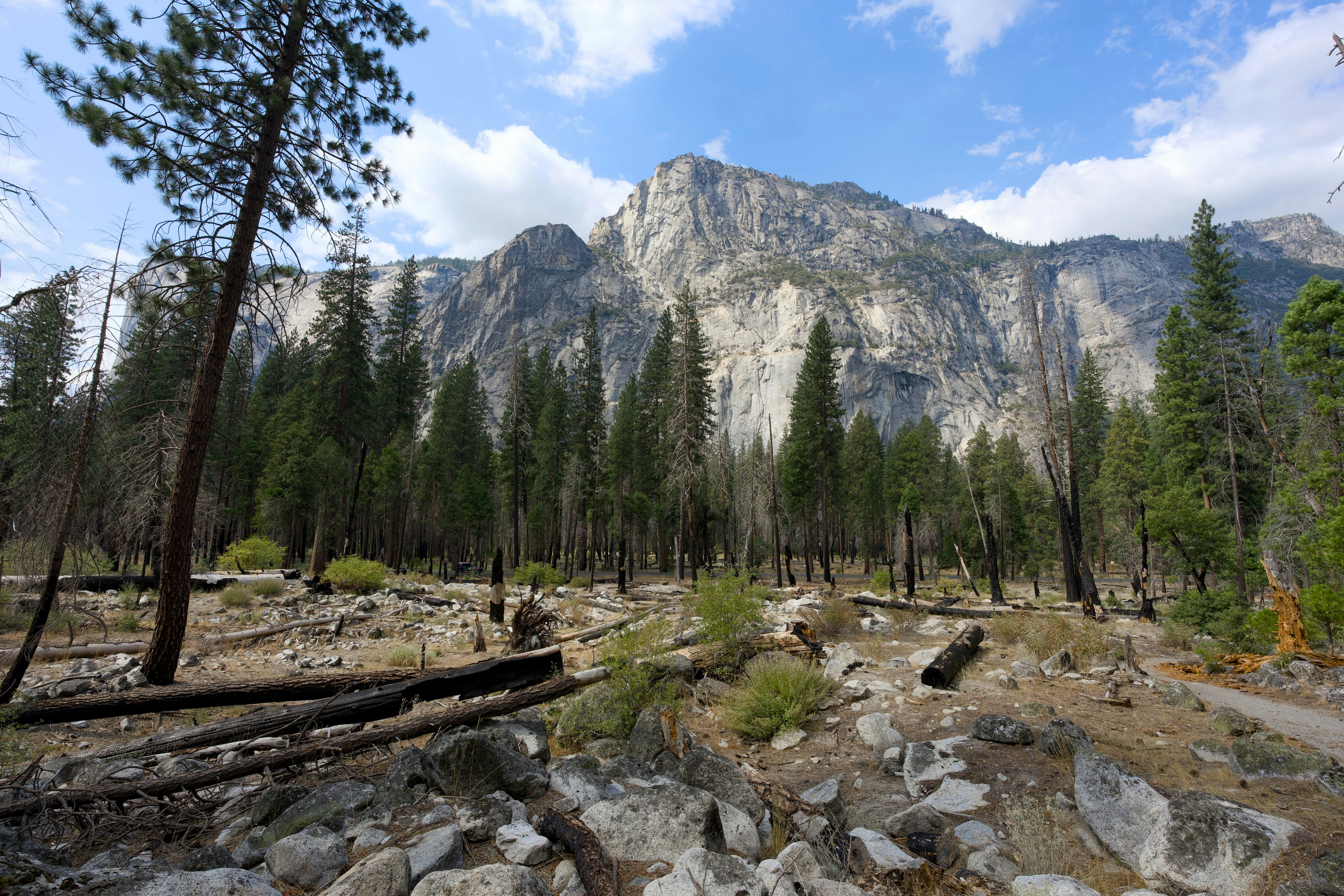 Photo by ethanmcdonald