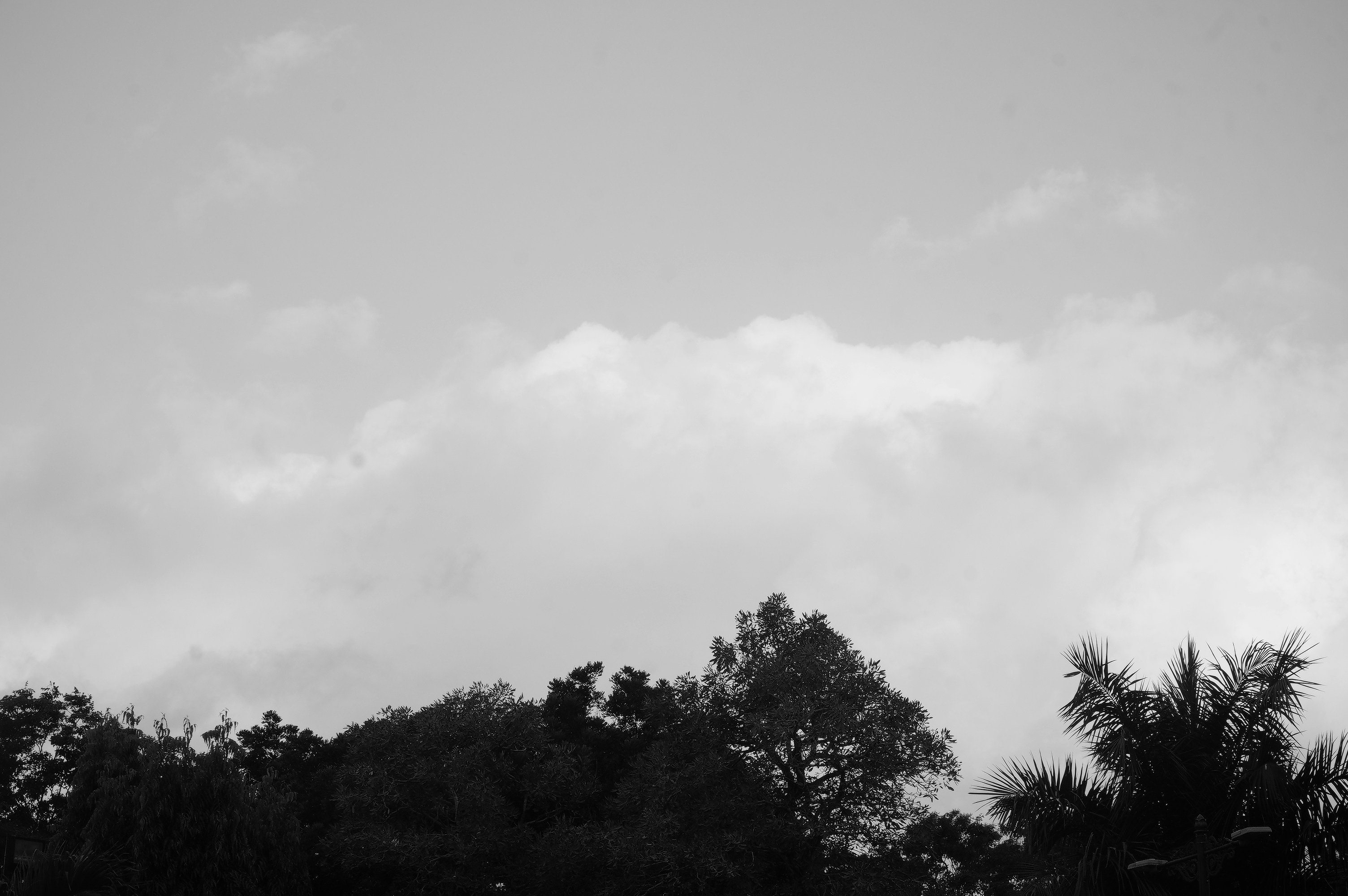 Photo by fattghonn12