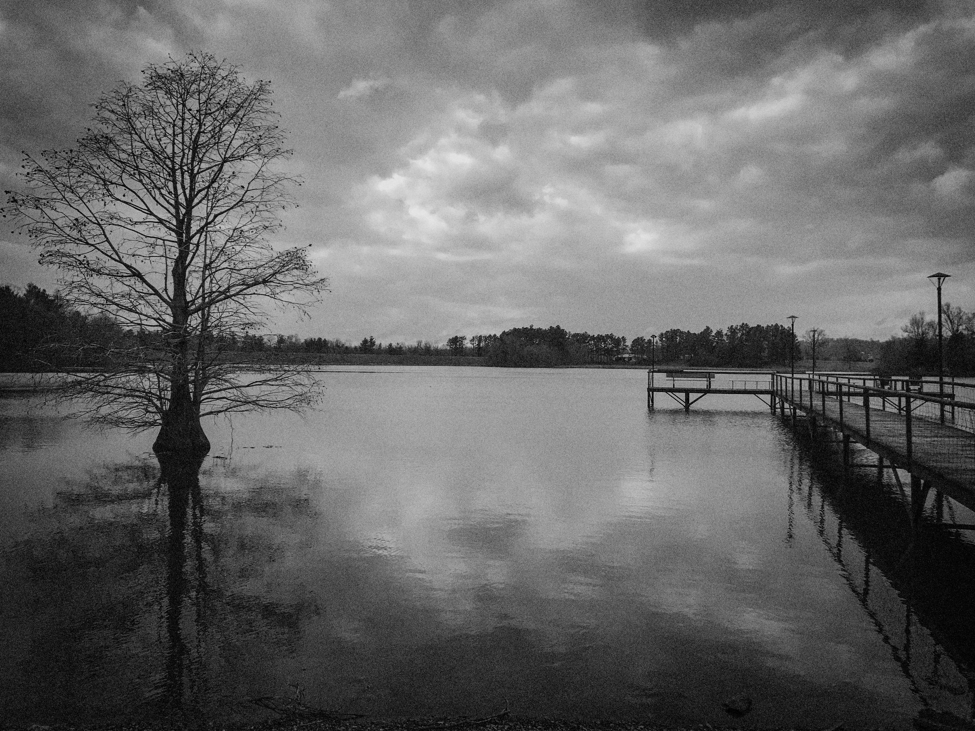 Photo by trailshutter