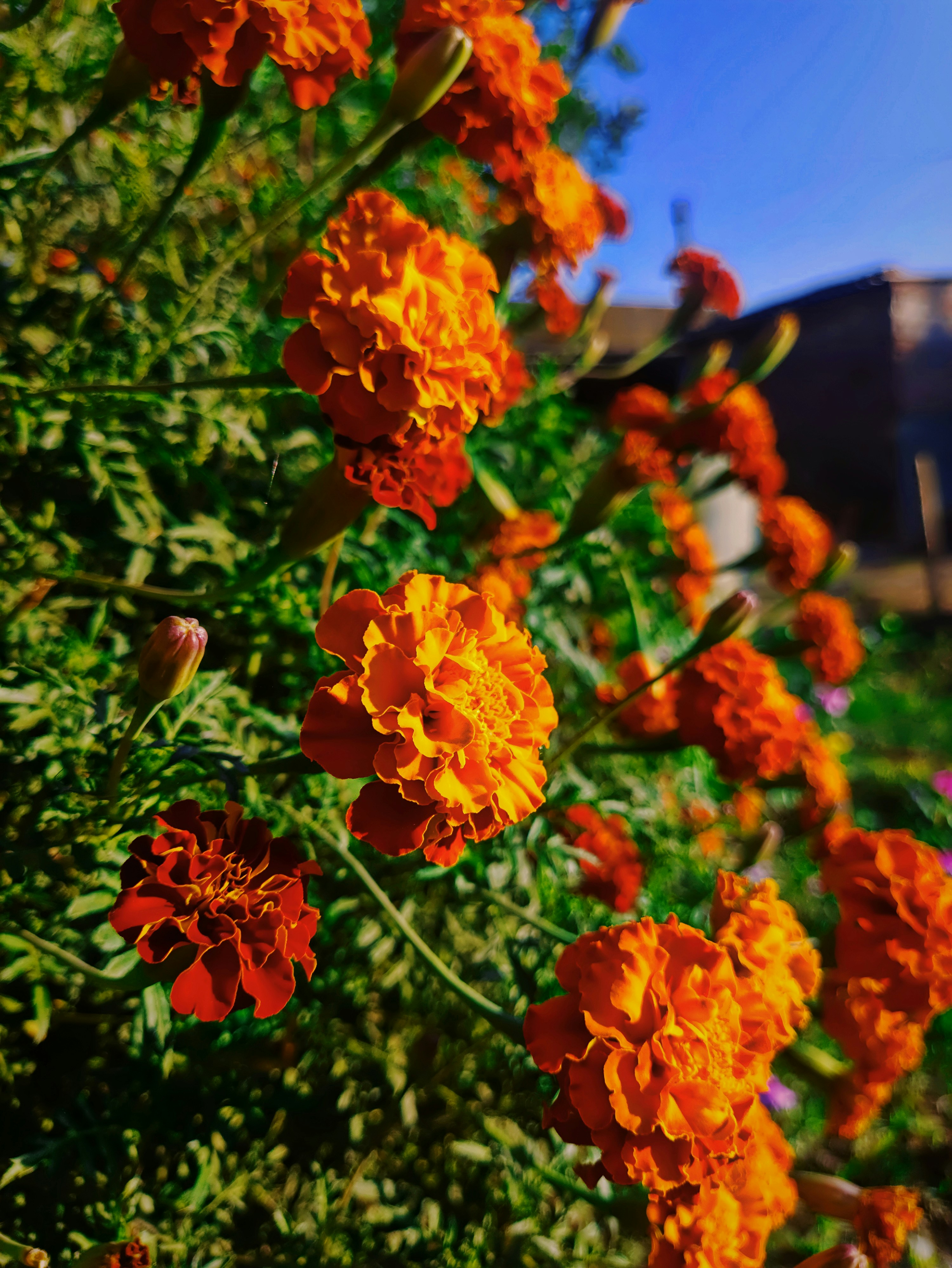 Photo by unsplashdipu32444